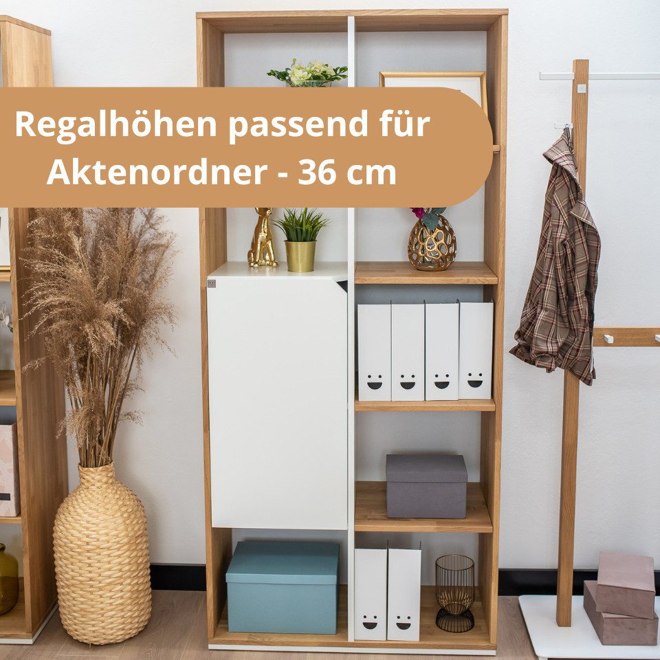 Deerhorn Aktenregal Modernes Regal Active 196x90x40 cm, Soft-Close Fronten, korpus aus eichenholz
