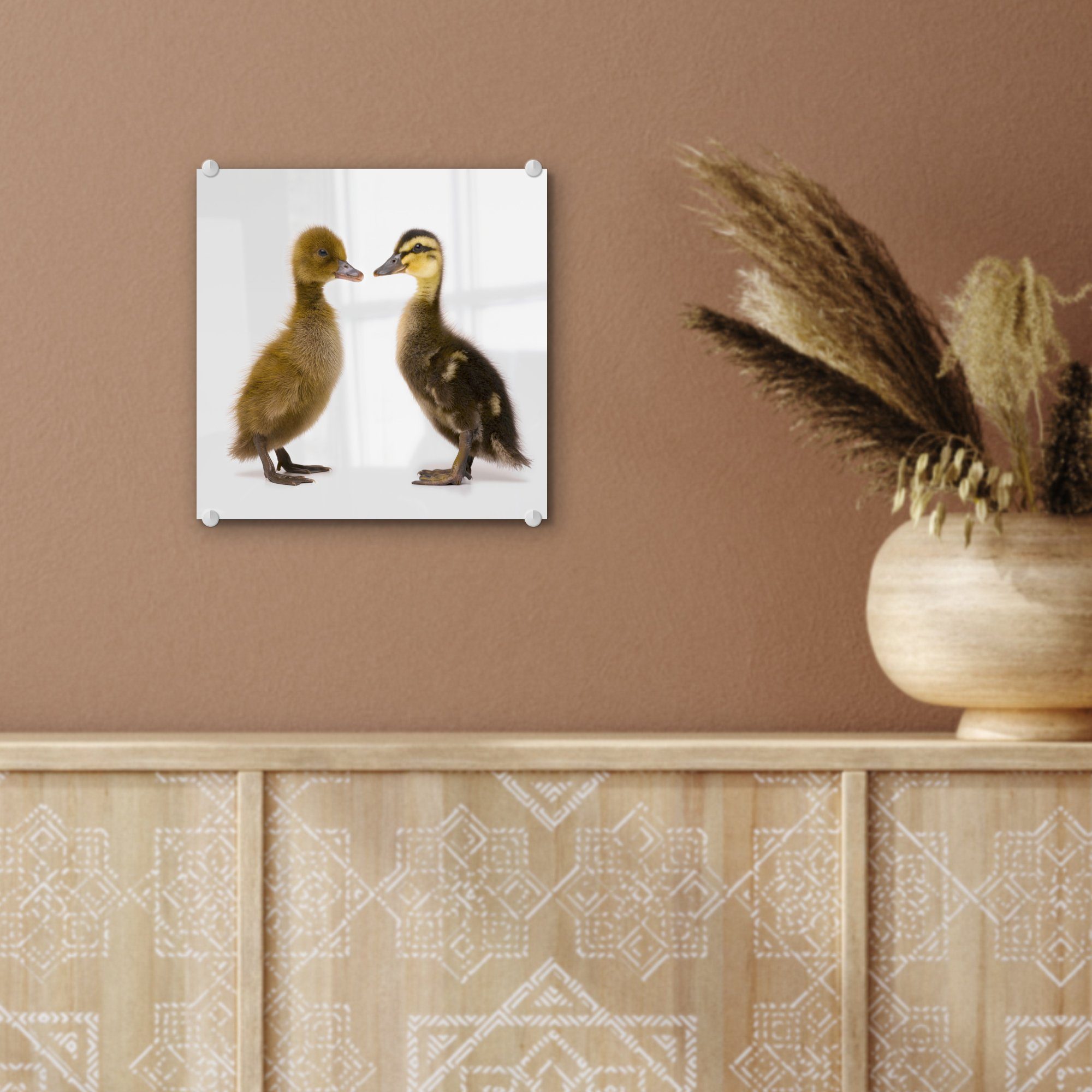 Baby-Enten, auf Acrylglasbild auf Bilder Wandbild Wanddekoration (1 - - Zwei MuchoWow Glasbilder Foto St), Glas Glas -