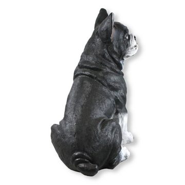colourliving Tierfigur Französische Bulldogge Figur sitzend Hundefiguren lebensecht Dekofigur, aufwendig verarbeitet, detailgetreu, handbemalt