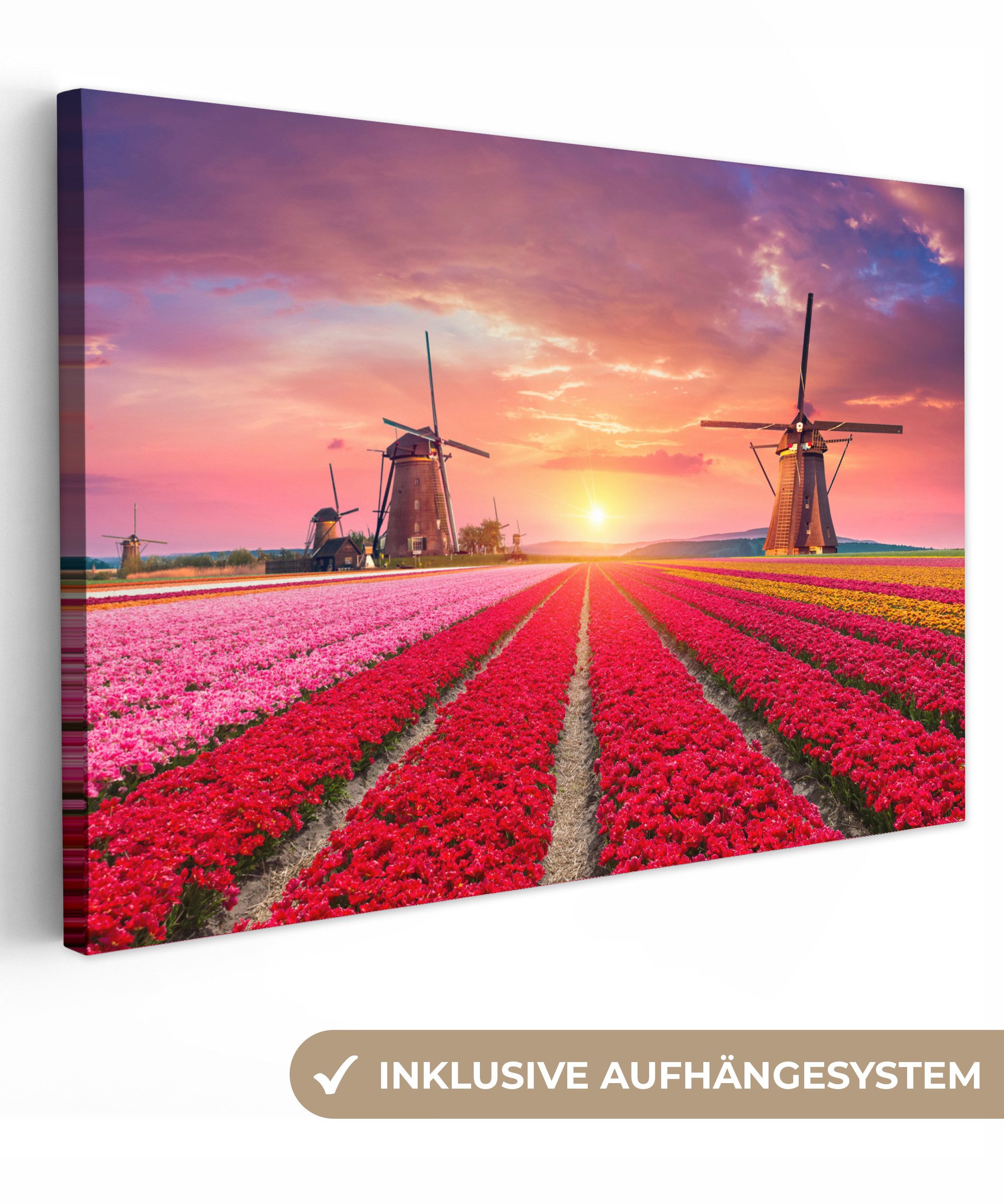 OneMillionCanvasses® Leinwandbild Blumen - Tulpen - Blumenfeld - Mühlen - Holland, Rosa - Tulpenfeld (1 St), Leinwand Bilder Klein, Wand Dekoration 30x20 cm