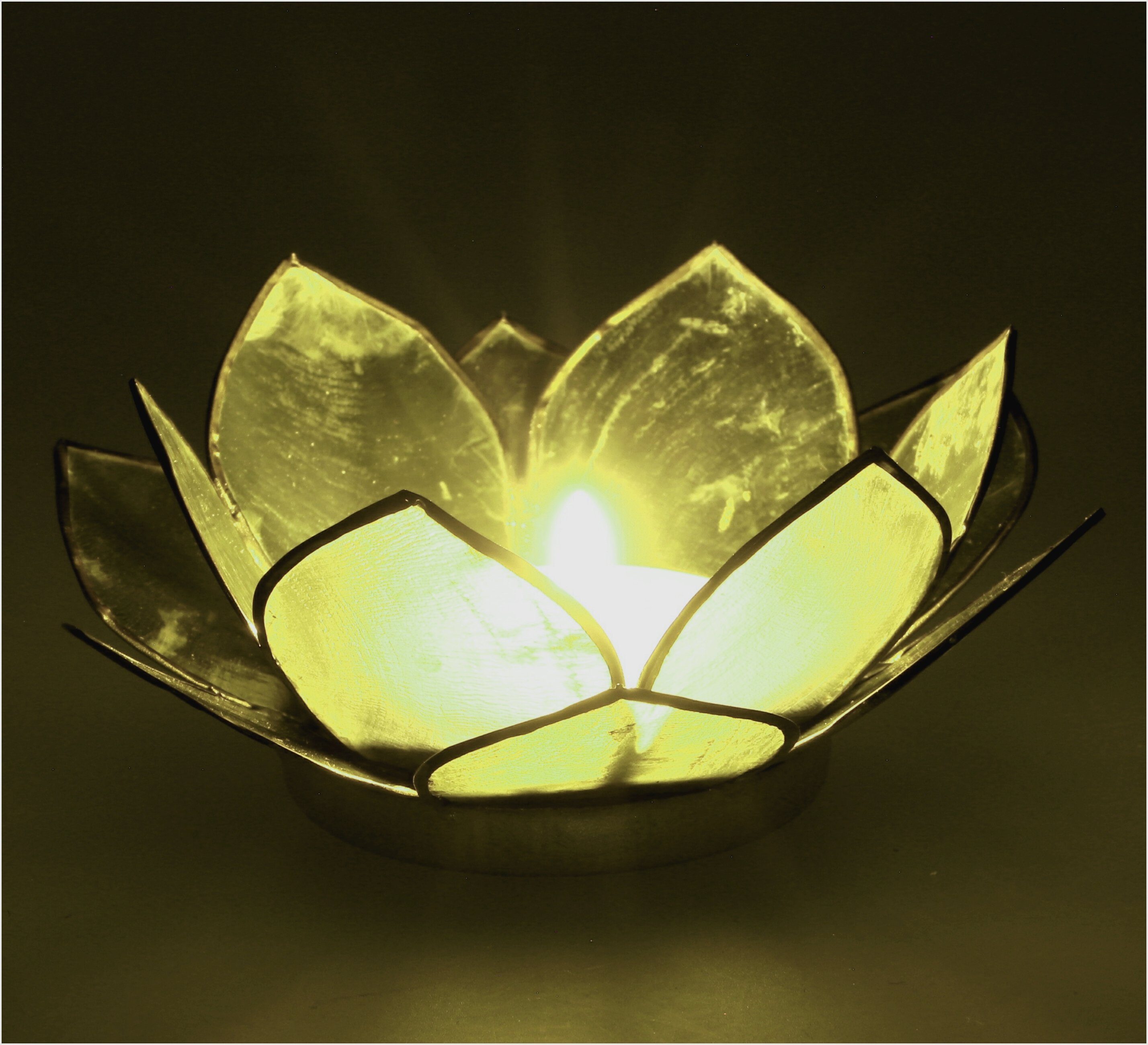 - cm Windlicht Lotus Muschel 11*4 olivgrün Guru-Shop Teelicht