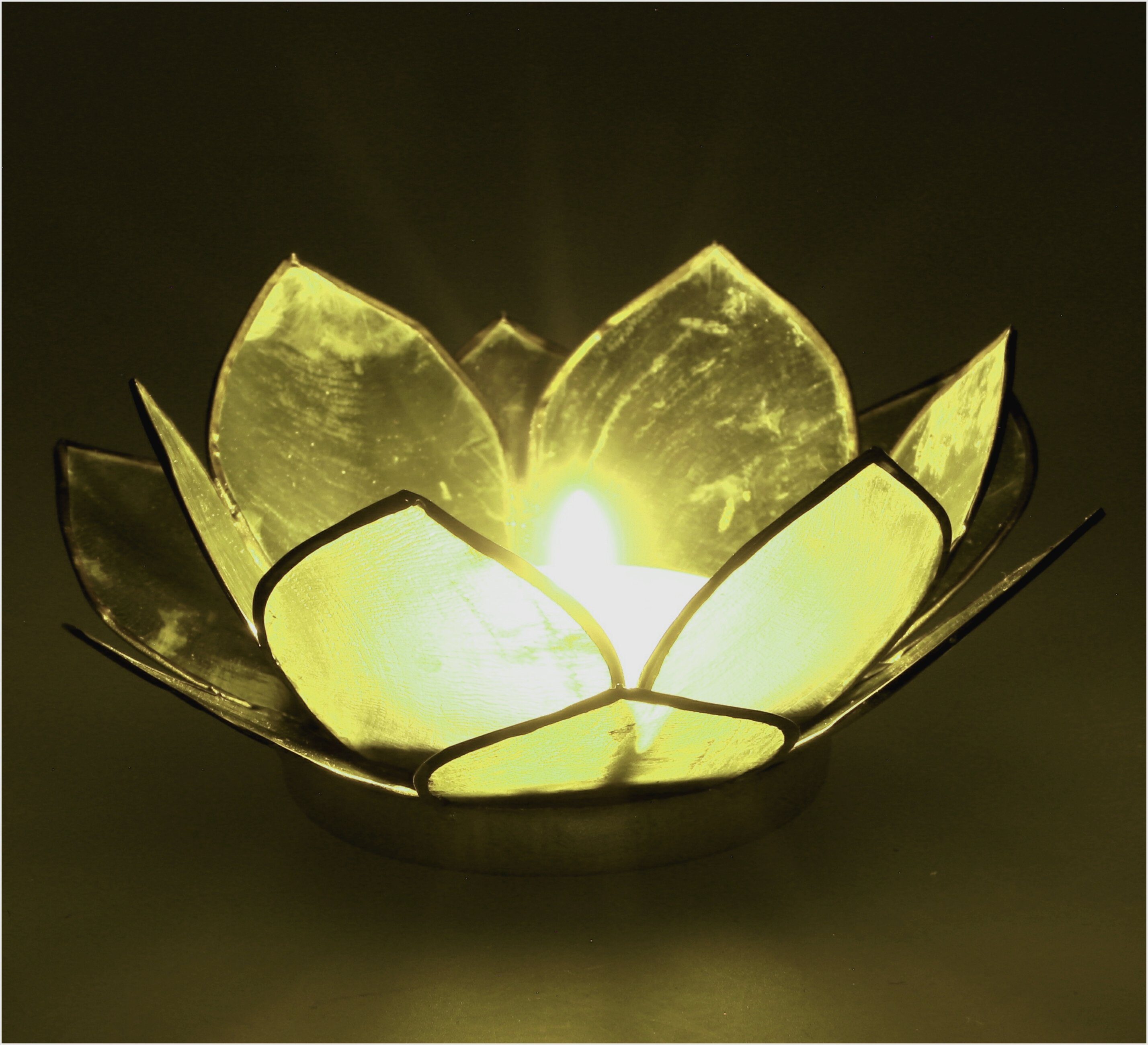 Guru-Shop Windlicht Lotus Teelicht Muschel 11*4 günstig online kaufen