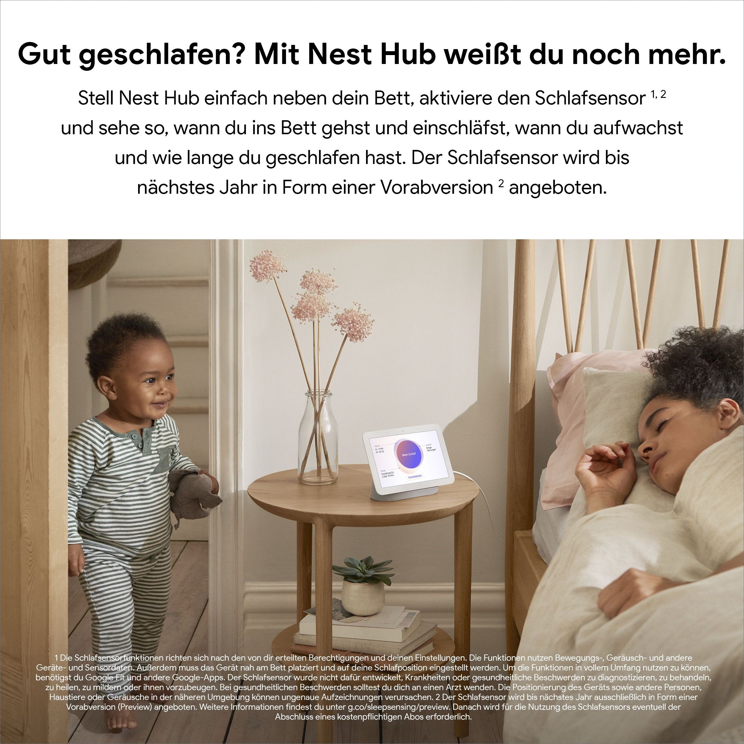 Google (Bluetooth, Kreide Grau Nest Smart WLAN) Speaker (2. Chalk Generation) Hub