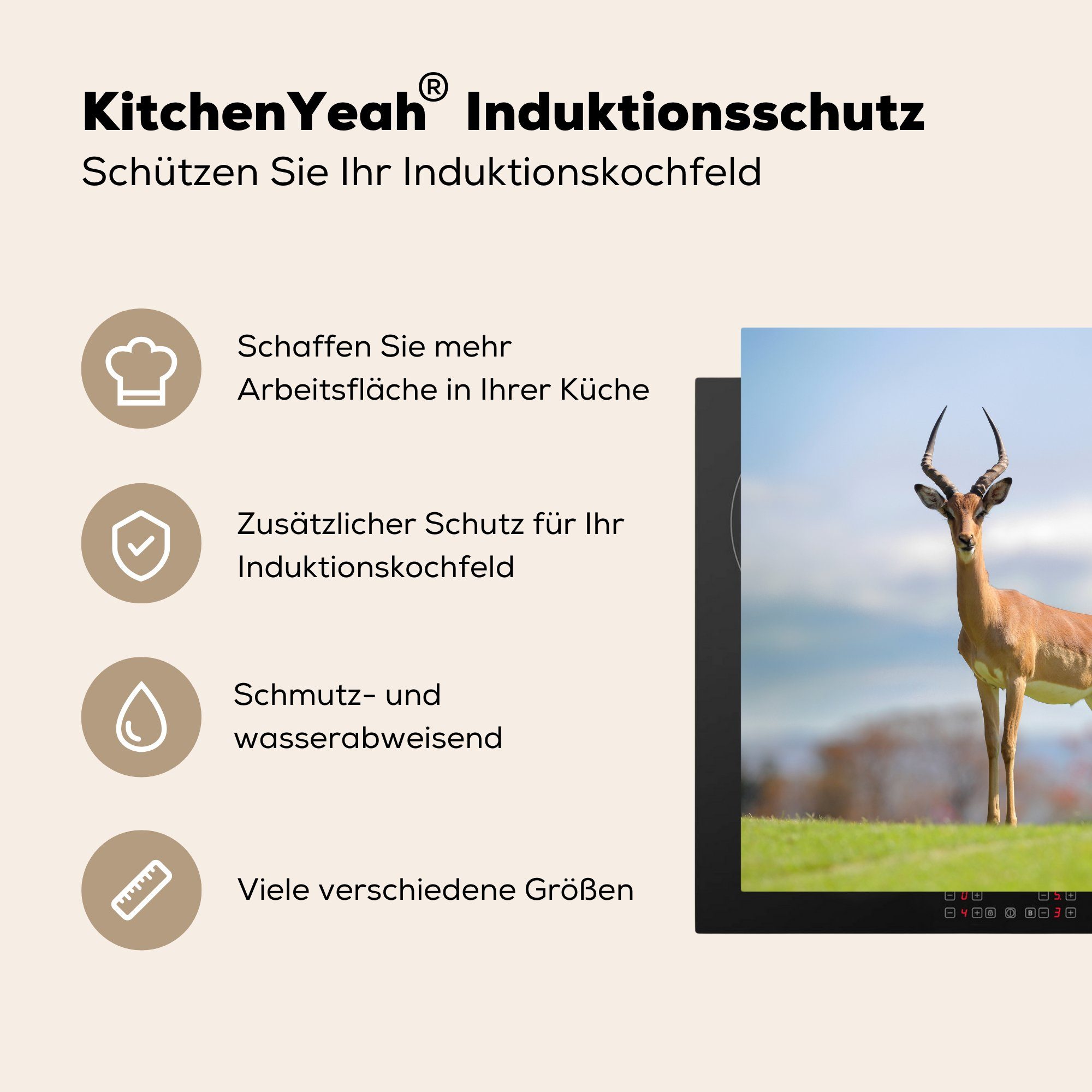 MuchoWow Herdblende-/Abdeckplatte Gazelle - Gras, cm, Vinyl, Grün Arbeitsplatte für küche 78x78 (1 - tlg), Ceranfeldabdeckung