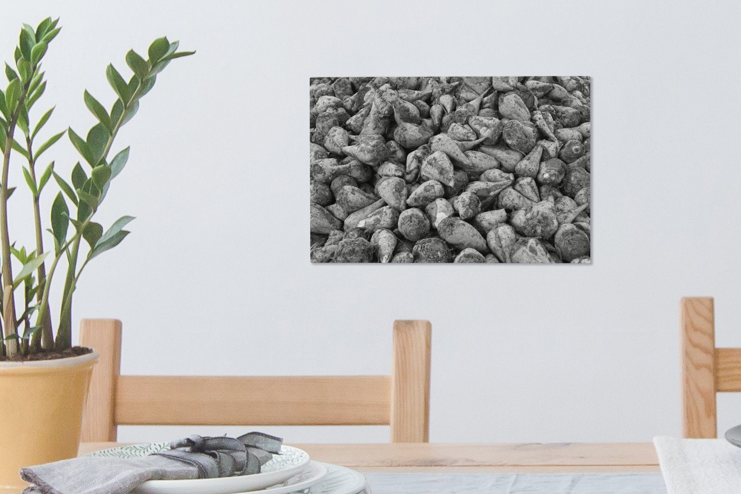 30x20 Leinwandbild Ein cm St), Aufhängefertig, Wandbild und - Haufen schwarz weiß, Wanddeko, Zuckerrüben Leinwandbilder, (1 OneMillionCanvasses®