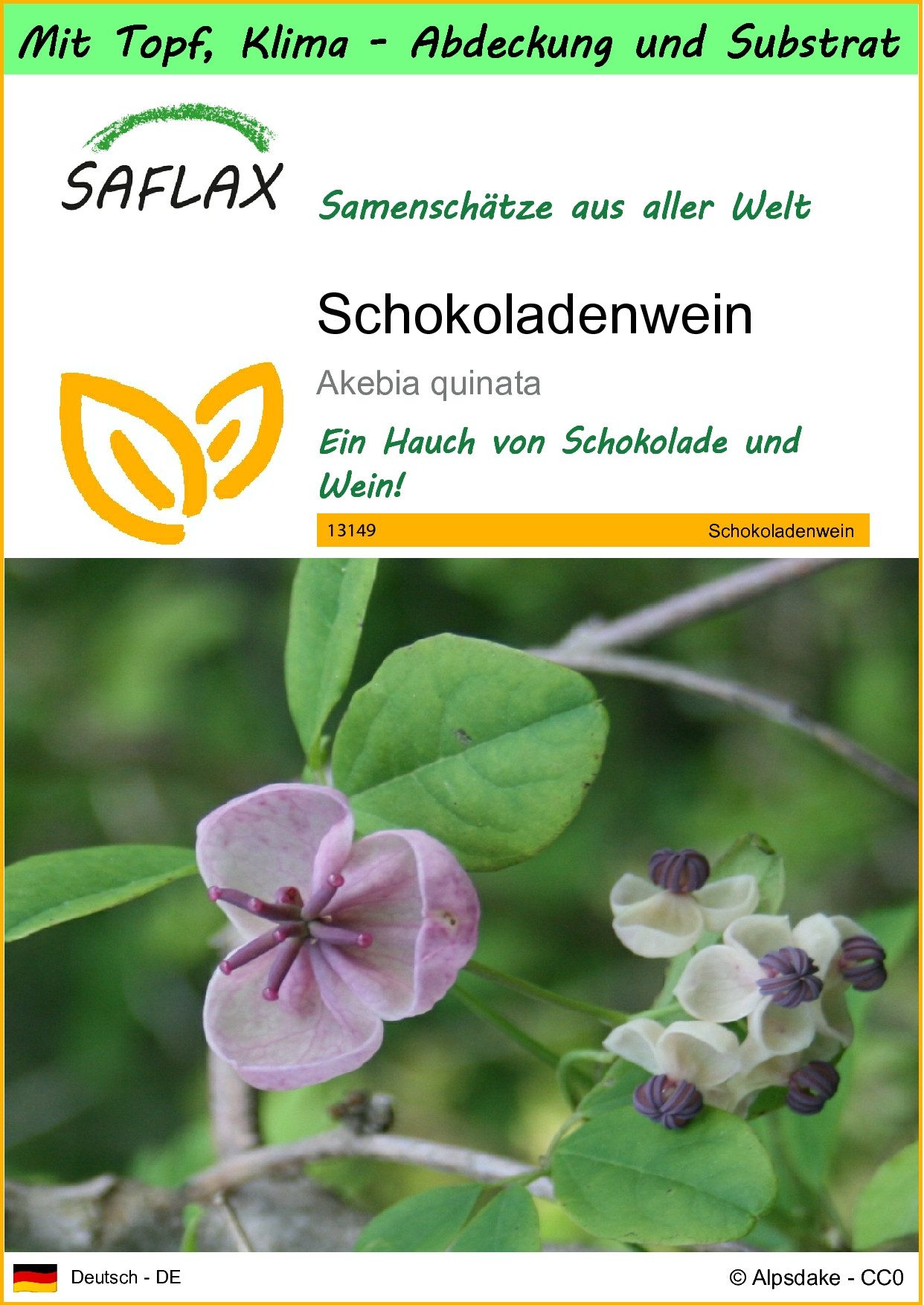 Blumensamen SAFLAX - Garden to go - Schokoladenwein