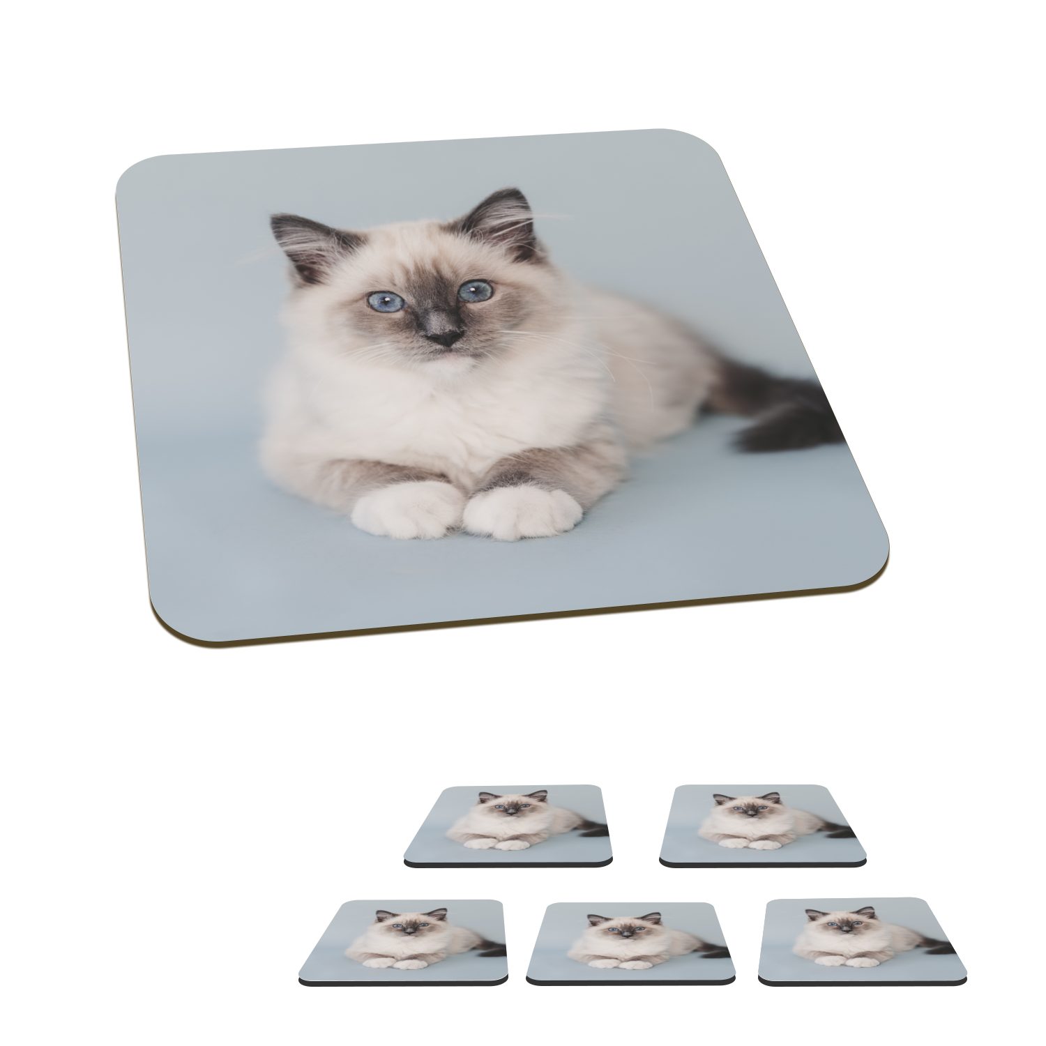 MuchoWow Glasuntersetzer für Katze - Tasse Untersetzer, Korkuntersetzer, Blau Tischuntersetzer, Mädchen - Katze 6-tlg., Gläser, Jungen - Ragdoll - Kinder Zubehör Kind, Glasuntersetzer, - 