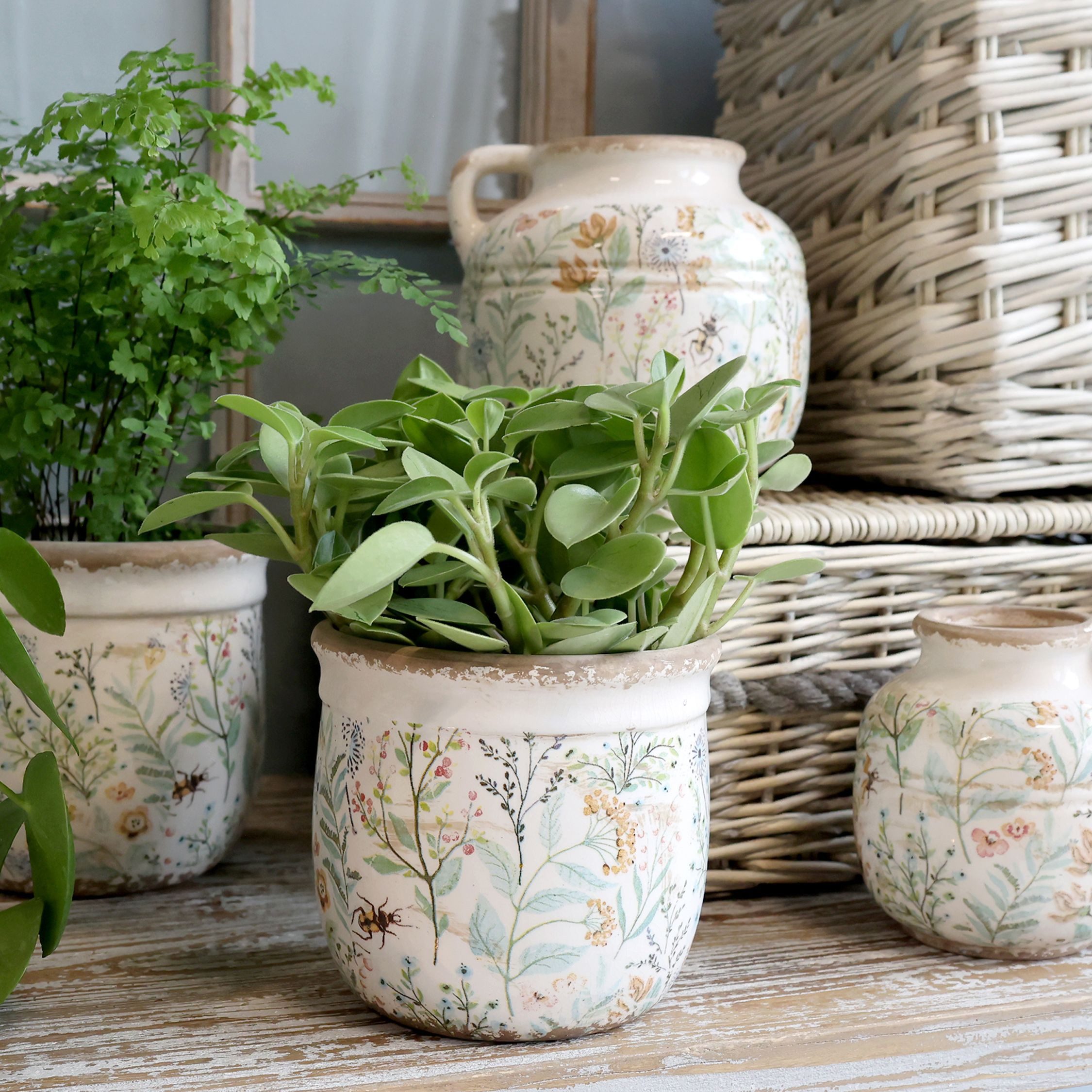 Annimuck Übertopf Chic Antique Maxime Übertopf günstig online kaufen