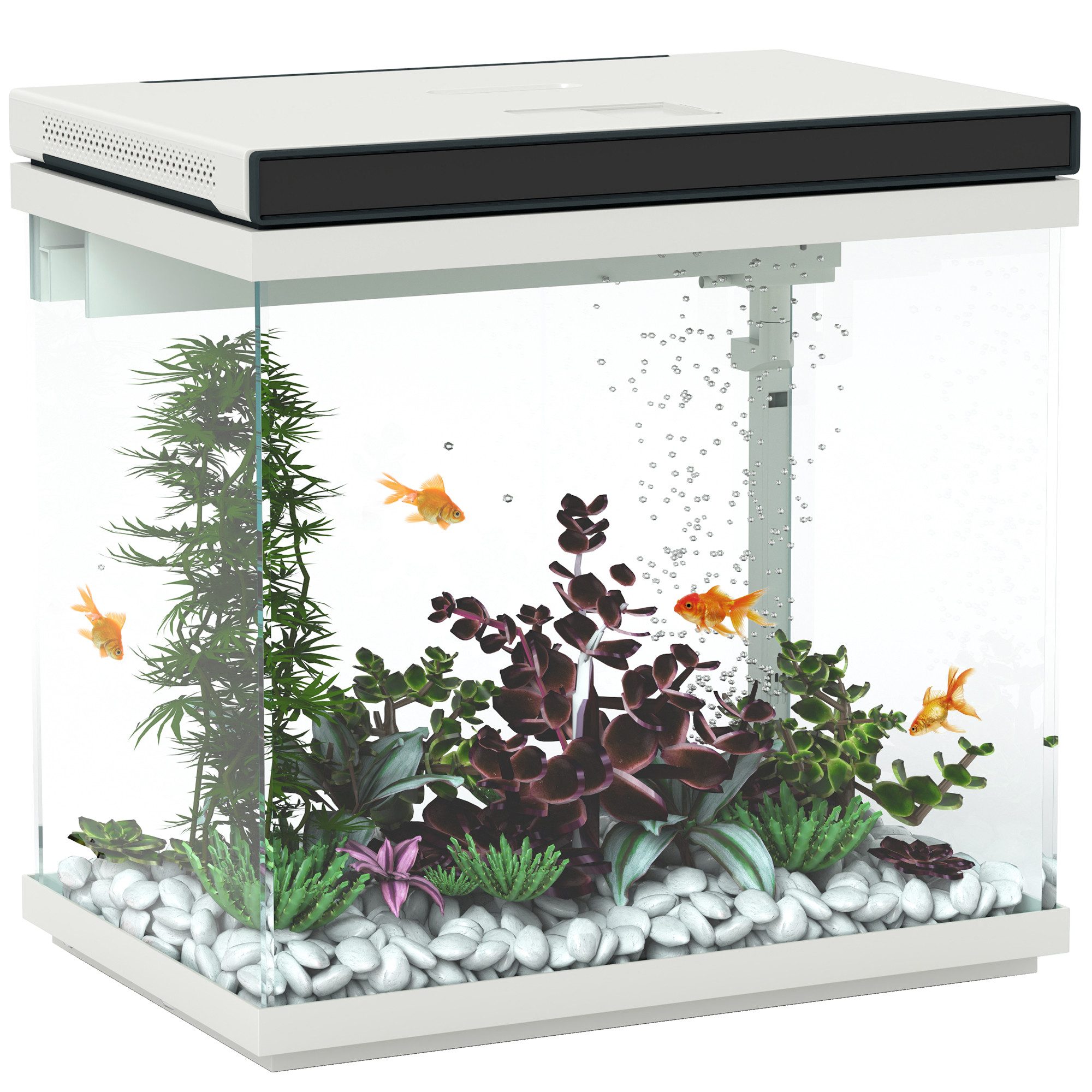 Aquarium mit Filter, LED-Beleuchtung, Wasserpumpe