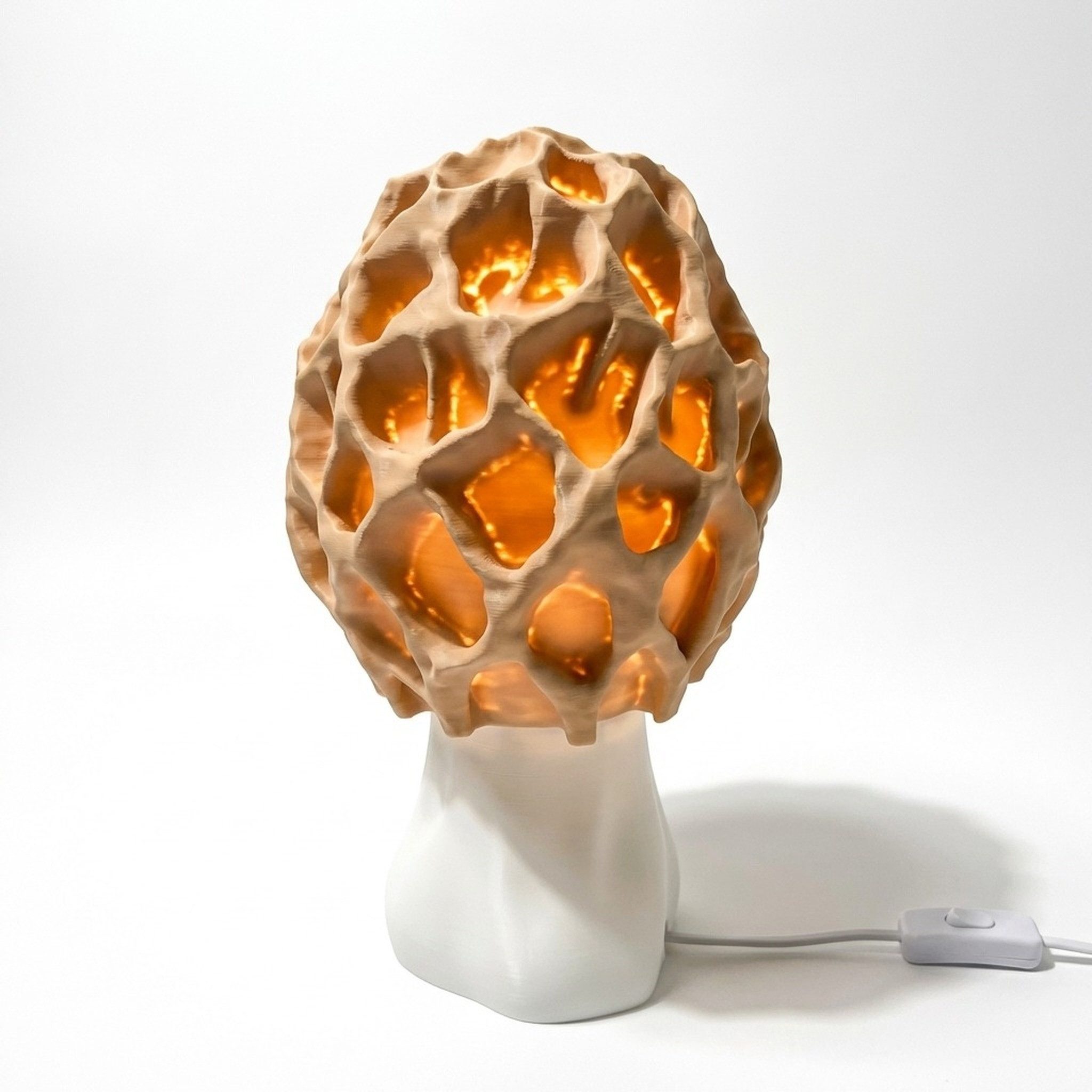 Roomberry LED Tischleuchte Pilzlampe Morchel, Design Tischlampe mit E27 Fassung & Kippschalter, LED wechselbar, Je nach Leuchtmittel Tageslicht - warmweiß, sanfte Lichtverteilung
