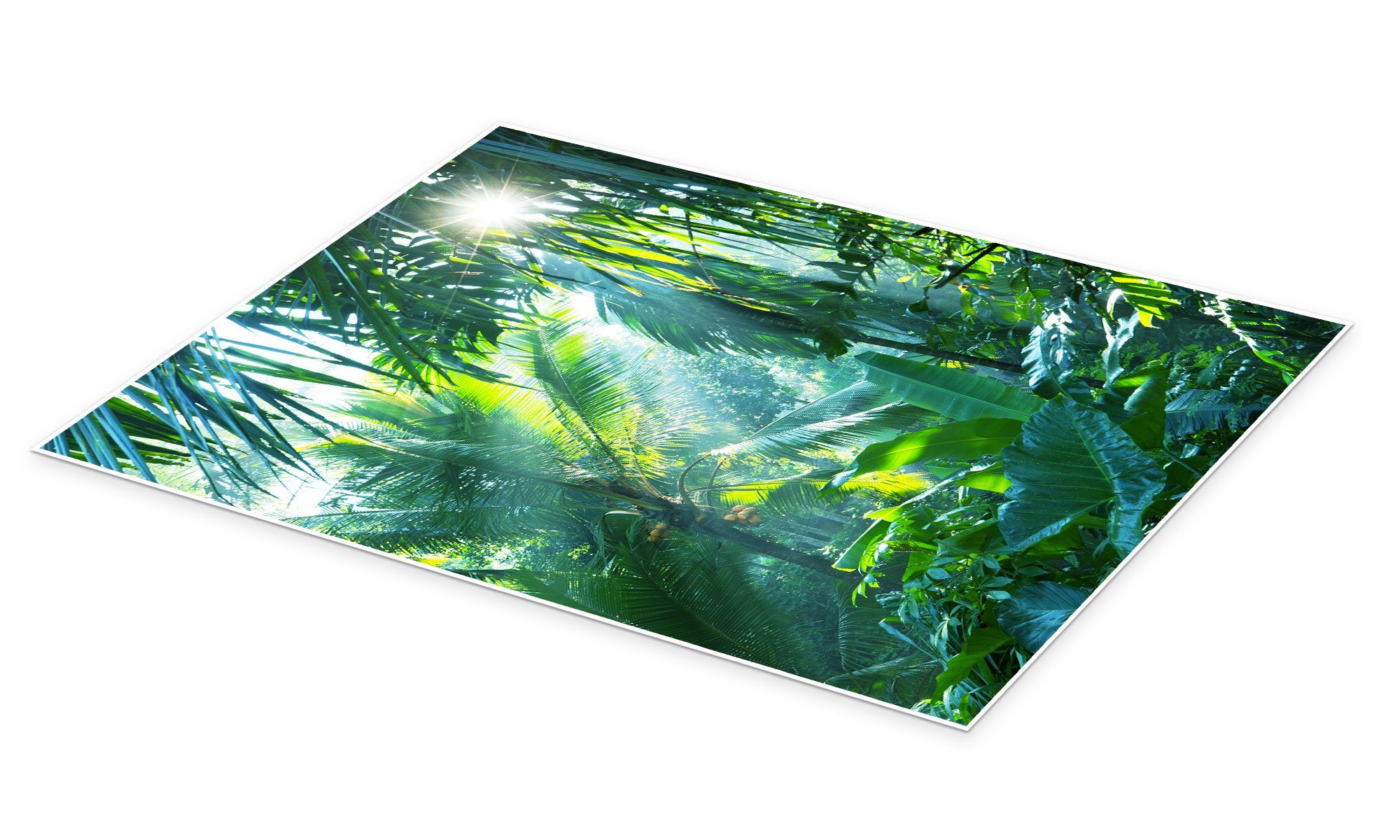 Posterlounge Poster Editors Choice, Dschungelfieber, Fotografie günstig online kaufen