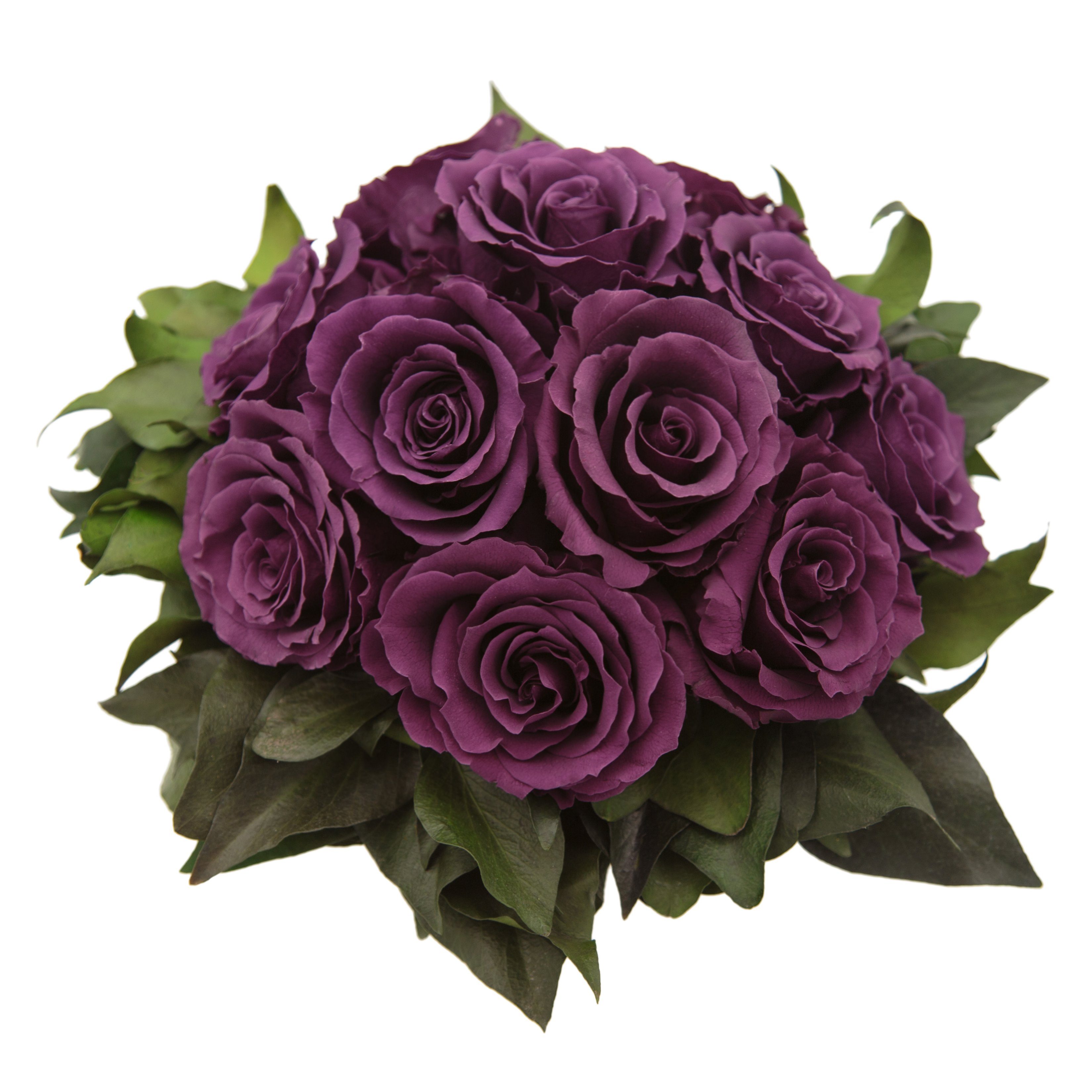 Gestecke Blumengesteck 11 Infinity Rosen in Blumenschale Blumenstrauß Rosenbox Rose, ROSEMARIE SCHULZ Heidelberg, Höhe 18 cm, Echte Blumen 3 Jahre haltbar, Geschenk für Frauen, Made in Germany