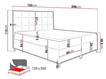 MIRJAN24 Boxspringbett Snake (mit Hauptmatratze, Topper, Kopfteil), 120, 140, 160, 180, 200 / 200 cm, mit zwei Bettkästen und Metallfüße