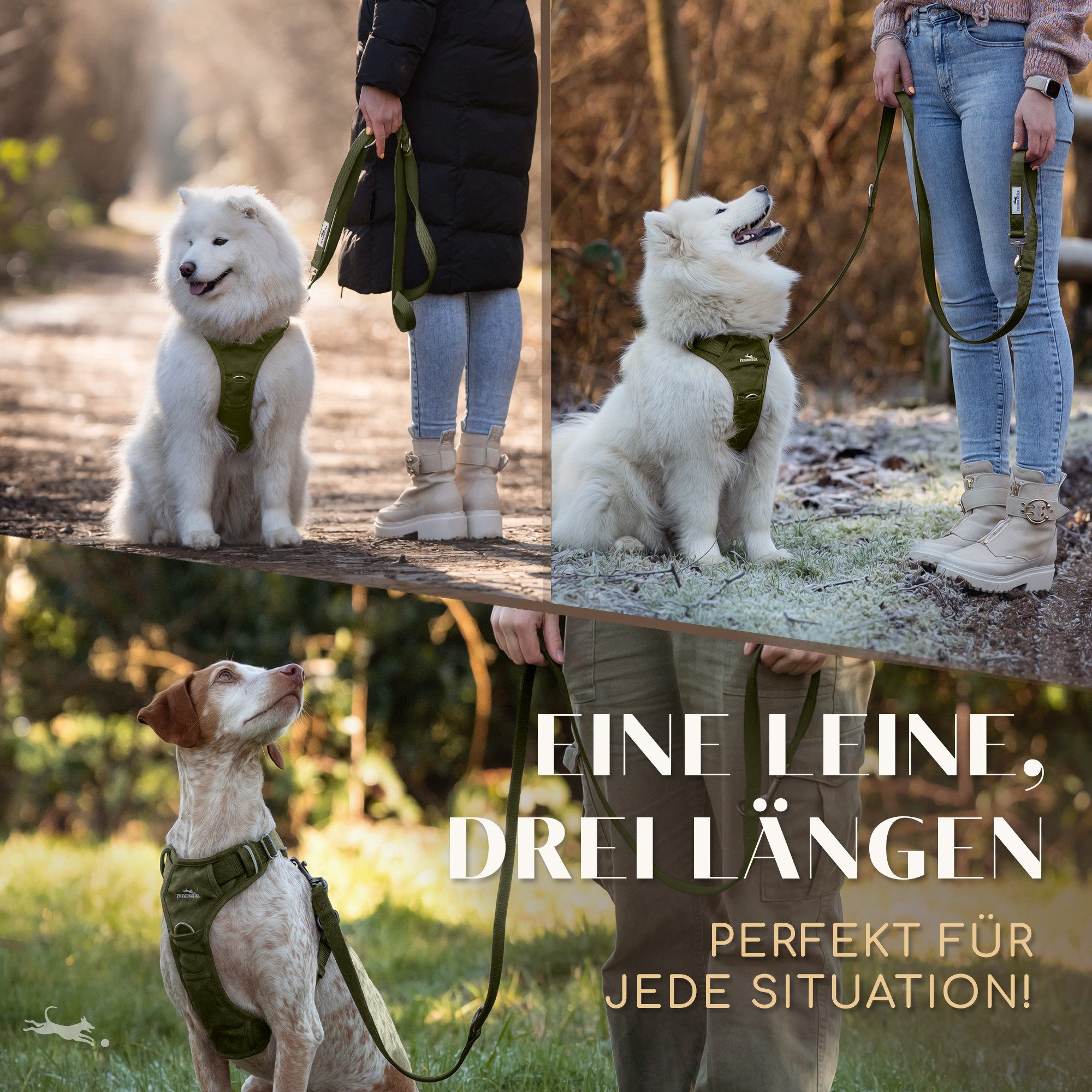 Freudentier Hundeleine 2m für mittelgroße & große Hunde, Führleine verstellbar, weich gepolstert – Bild 4 von 5