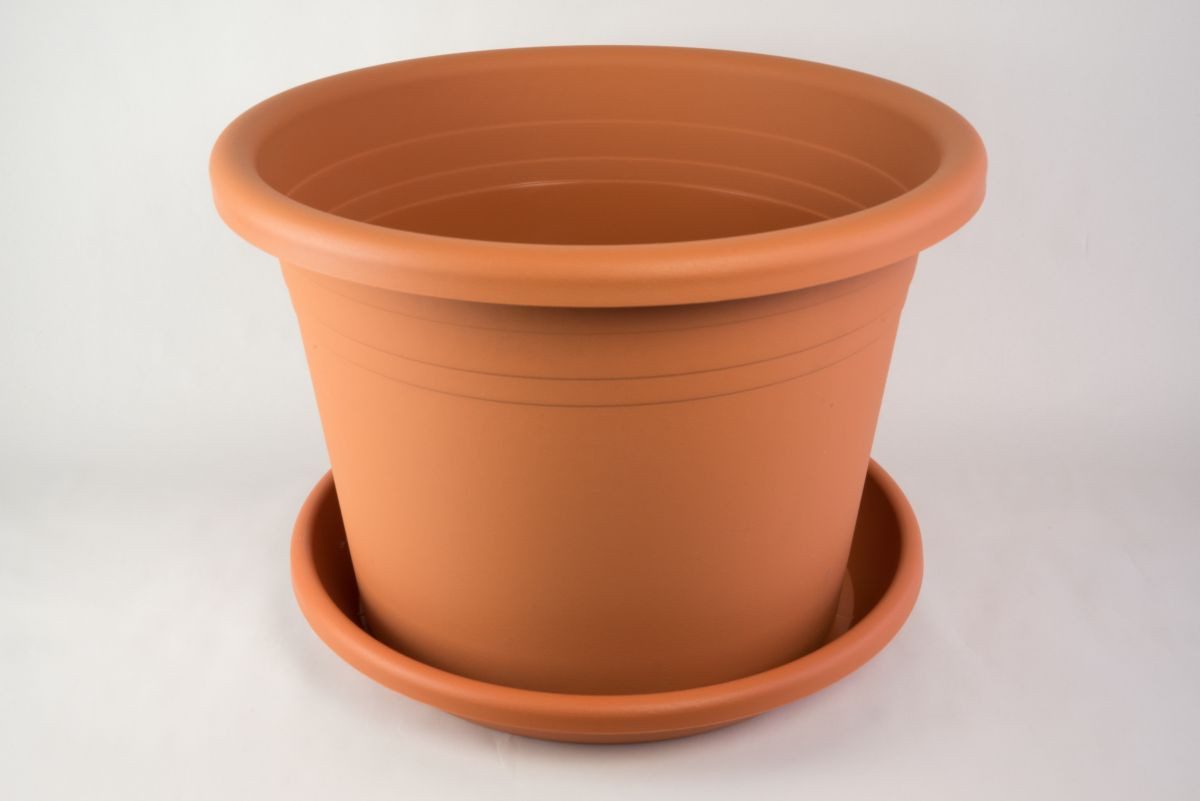 Fuchs Versand 24/7 Blumentopf Blumentopf Cylindro mit Untersetzer in versch günstig online kaufen