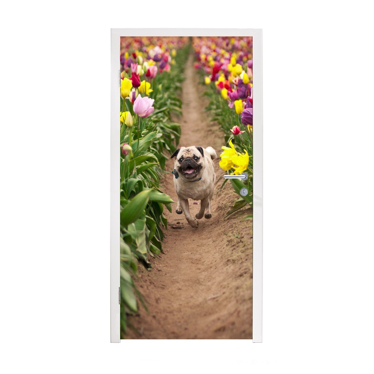 MuchoWow Türtapete Blumen - Tulpen - Hund, Matt, bedruckt, (1 St), Fototapete für Tür, Türaufkleber, 75x205 cm