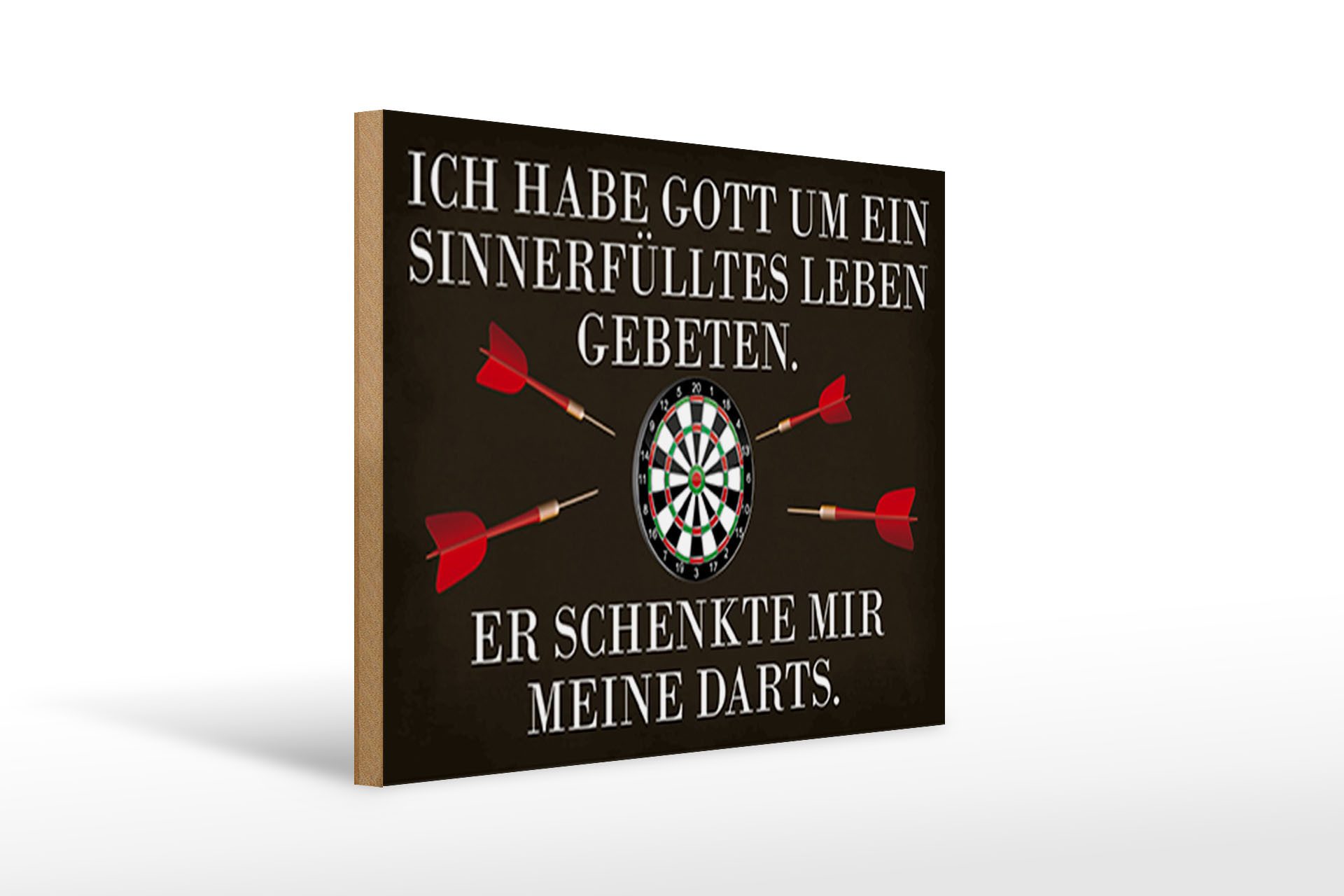 Holzbild Spruch 40x30cm Gott schenkte mir meine Darts
