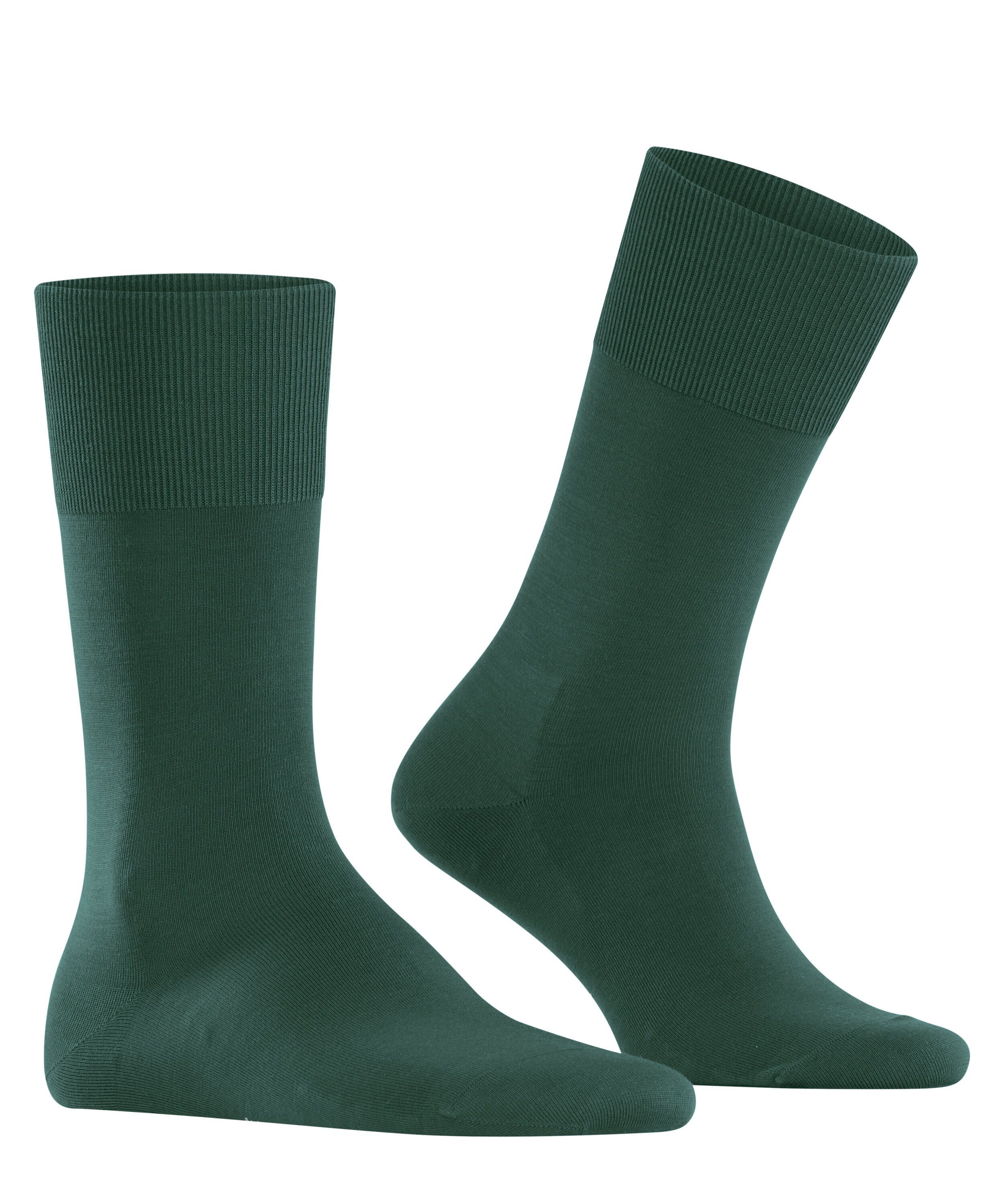 ClimaWool green Socken (7441) (1-Paar) hunter FALKE