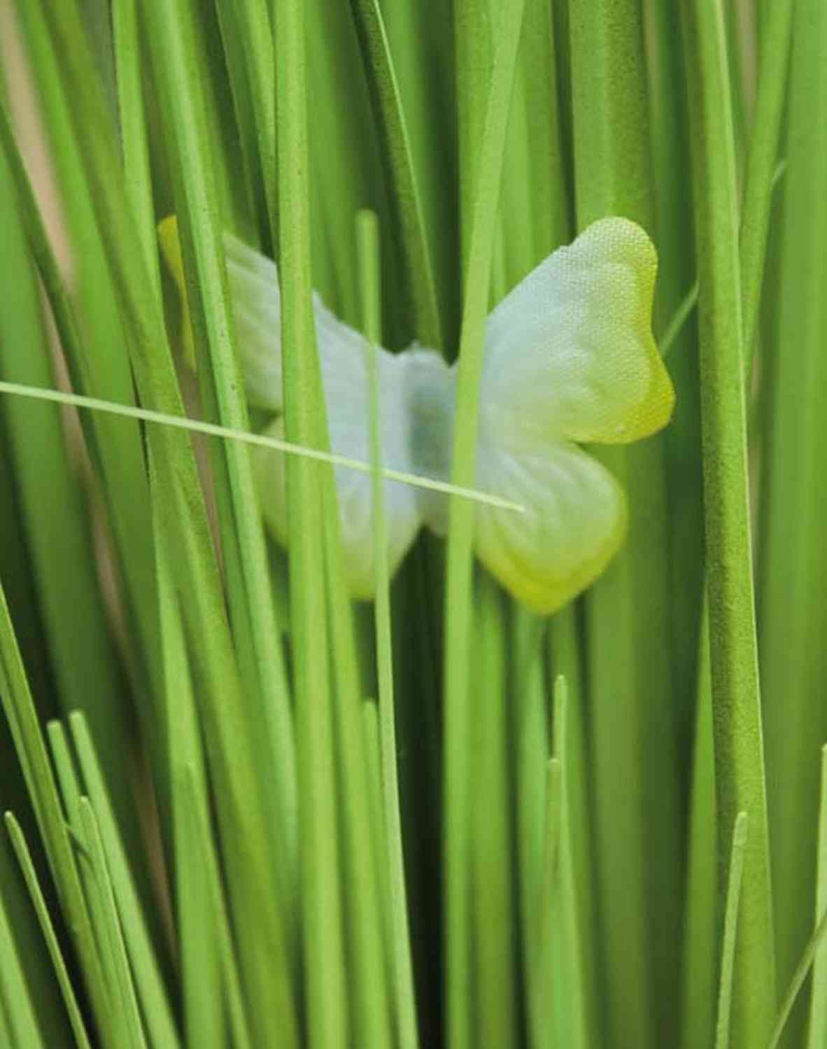 Kunstgras Kunst Schilf Finlay, Gypsophilia, Schmetterling, weiß, 70cm, artplants, Höhe 70.0 cm