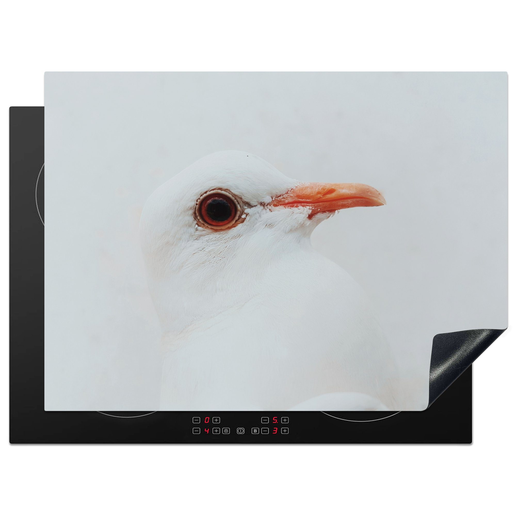 MuchoWow Herdblende-/Abdeckplatte Nahaufnahme einer weißen Taube, Vinyl, (1 tlg), 70x52 cm, Mobile Arbeitsfläche nutzbar, Ceranfeldabdeckung