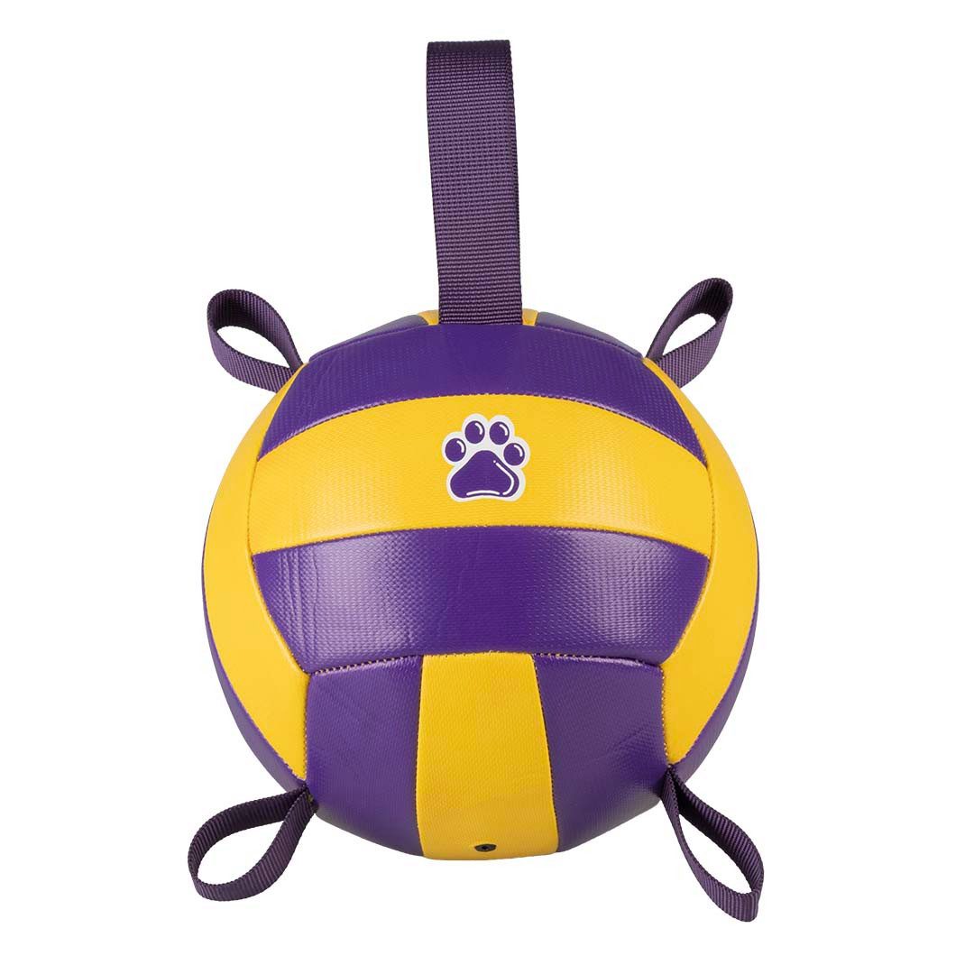 DUVO+ Tierball Duvoplus Volleyball mit Pumpe