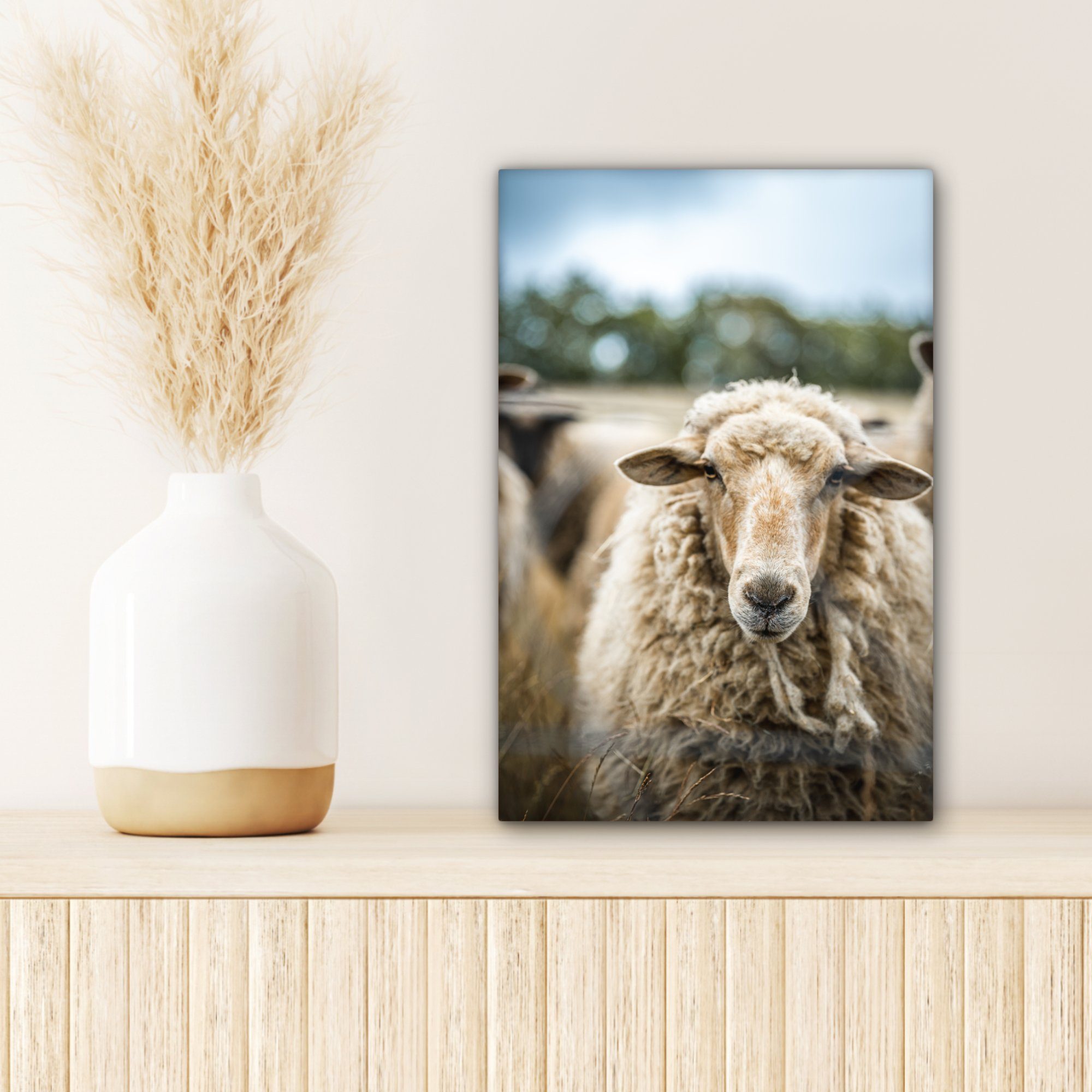 Leinwandbild St), 20x30 inkl. Gemälde, bunt (1 cm eines Zackenaufhänger, Leinwandbild Schafes, bespannt OneMillionCanvasses® Porträt fertig
