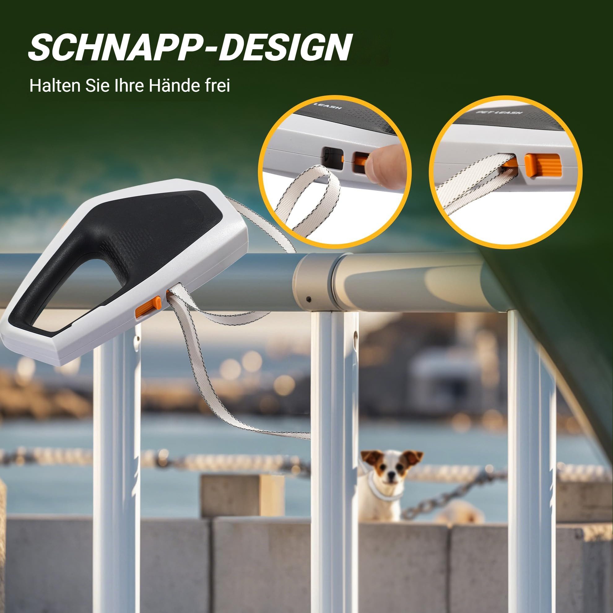 Tekoo Rollleine Hundeleine für große Hunde bis 80kg, verwicklungsfrei, (Packung), Verwicklungsfreies Ein- und Ausrollen