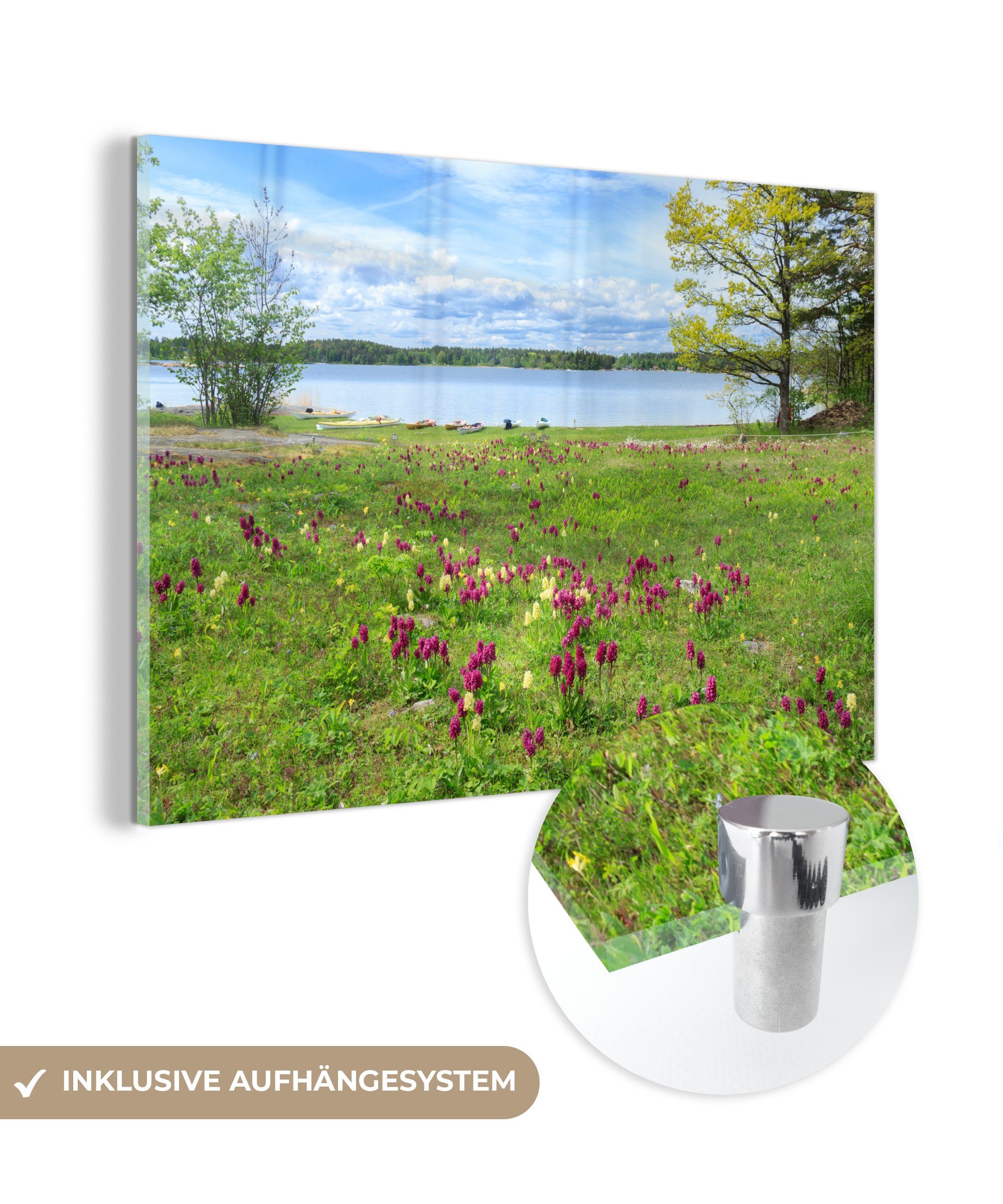 MuchoWow Acrylglasbild Wildblumen in der Landschaft des Ängsö-Nationalparks in Schweden, (1 St), Acrylglasbilder Wohnzimmer & Schlafzimmer