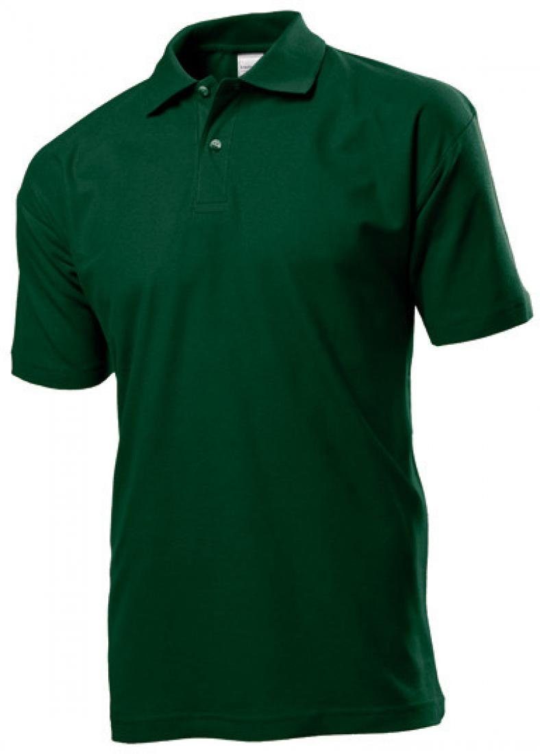Stedman Poloshirt Herren Poloshirt-Piqué 100 günstig online kaufen