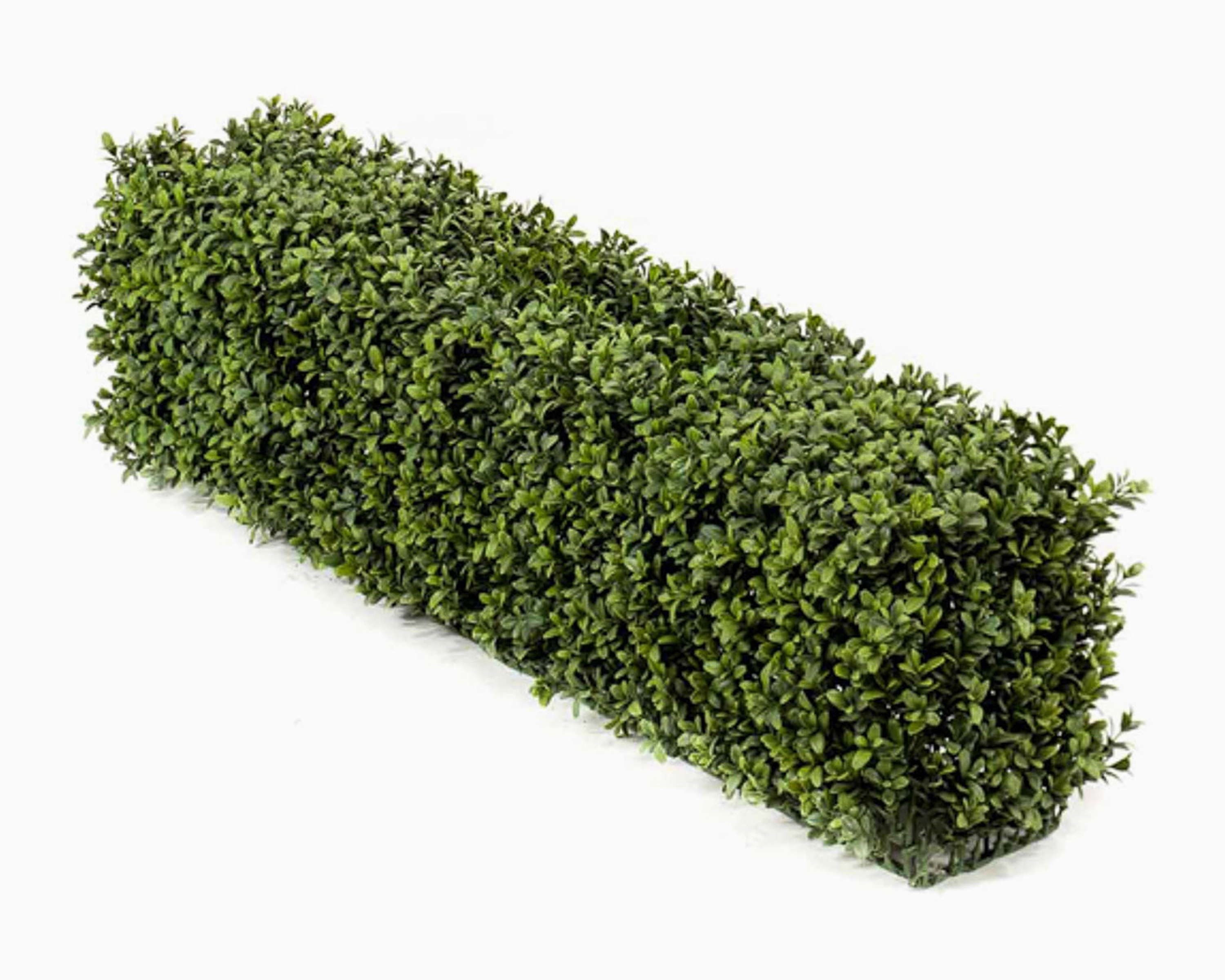 Kunsthecke Kunst Buchsbaumhecke Tom, Metallrahmen, crossdoor, 100x20x25cm Buchsbaum, artplants, Höhe 100.0 cm