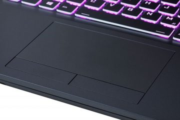 CAPTIVA Highend Gaming I66-993 Gaming-Notebook (39,6 cm/15,6 Zoll, AMD Ryzen 5 5600X, GeForce RTX 3070, 500 GB SSD)