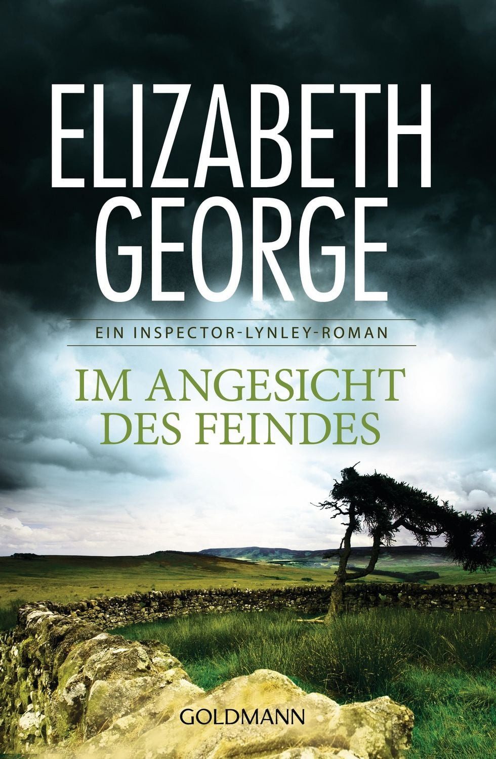 Im Angesicht des Feindes / Elizabeth George