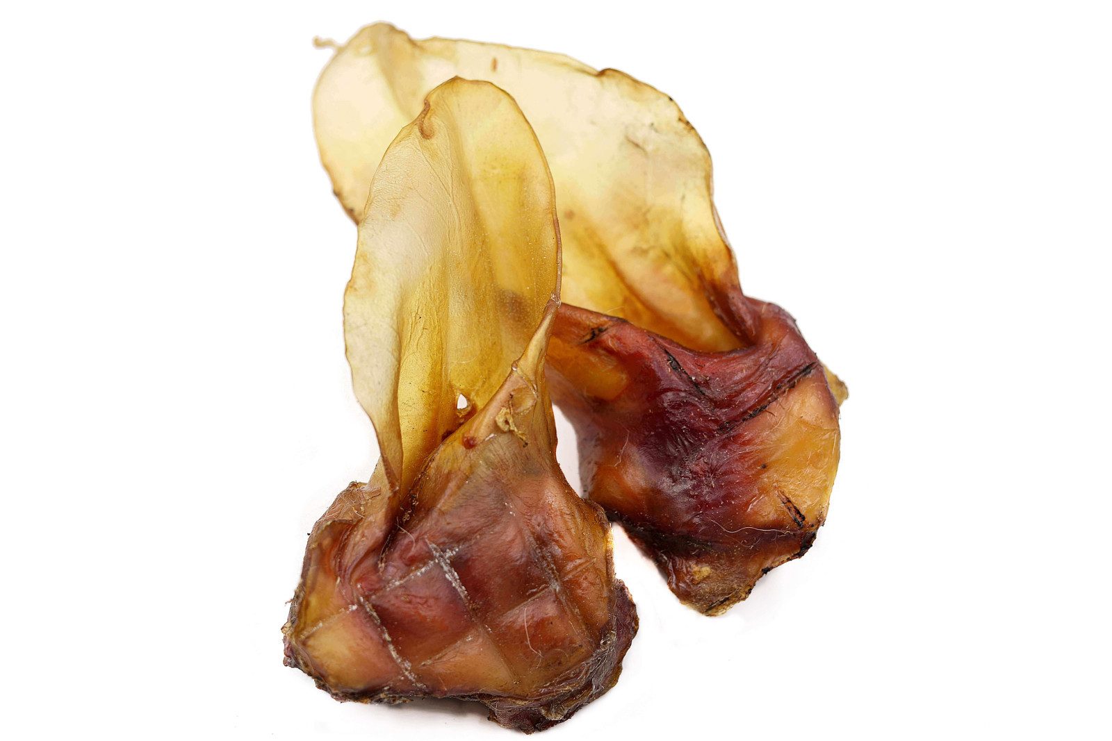 Breers Pet Food XXL Rinderohren mit Muschel getrocknet 1 kg Kausnack Hundeleckerlie, Harter Kauartikel, Leckerli getreidefrei, Hundesnack zuckerfrei