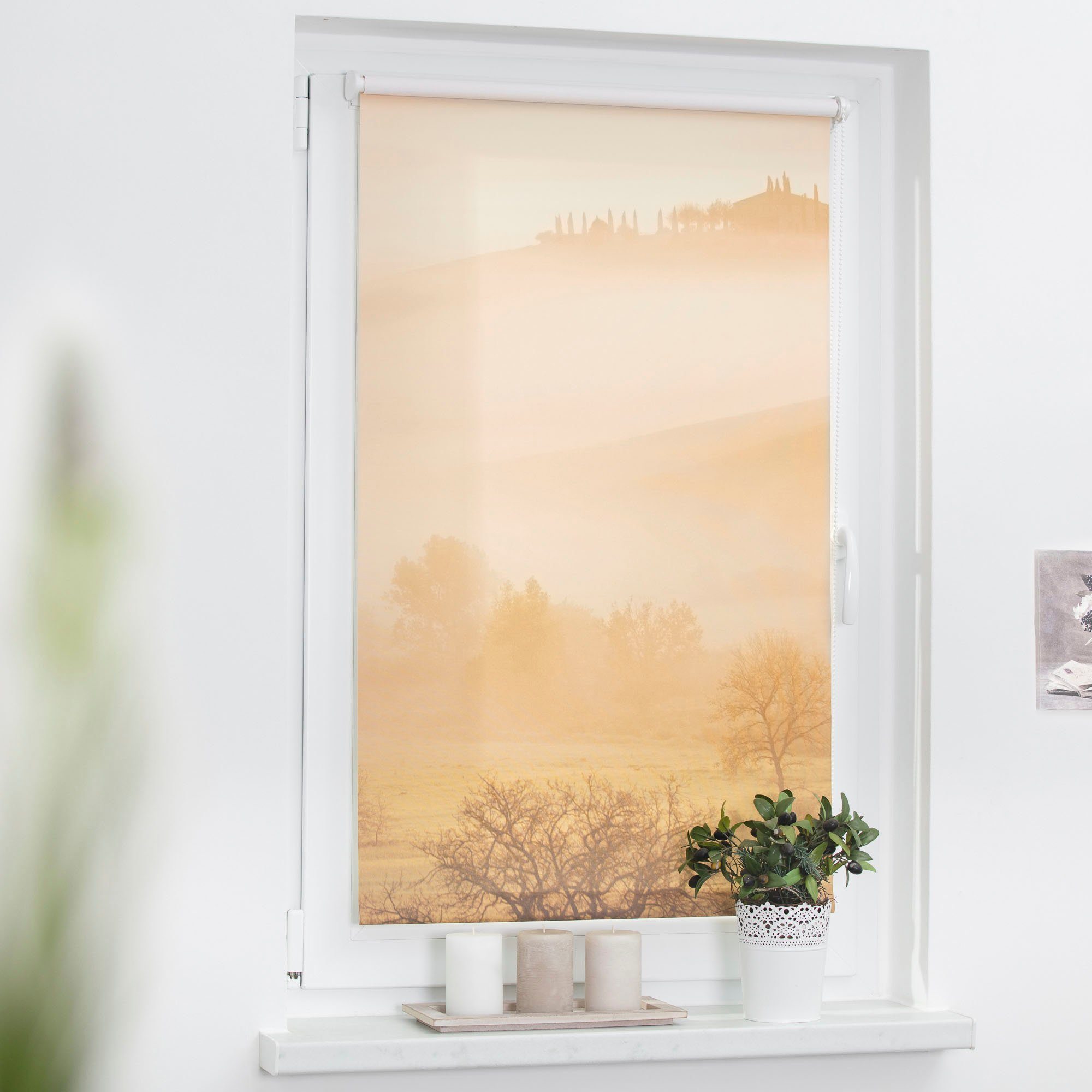 Seitenzugrollo Klemmfix Motiv Toskana, LICHTBLICK ORIGINAL, günstig online kaufen
