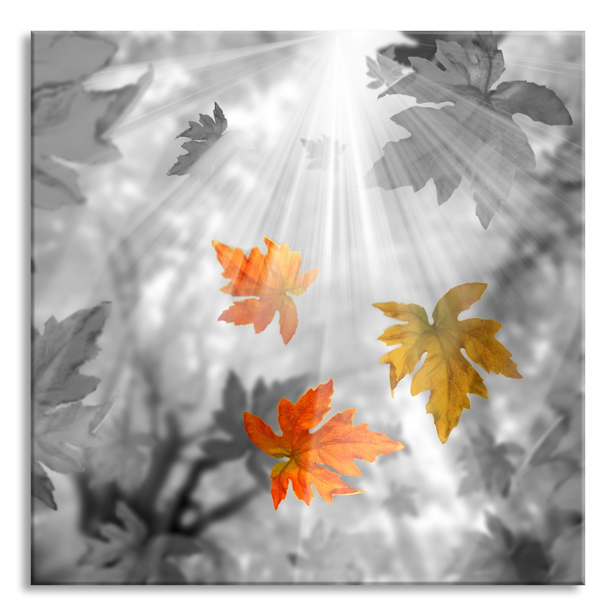 Pixxprint Glasbild herabfallende herabfallende St), aus Herbstblätter Herbstblätter, Glasbild Aufhängungen (1 Abstandshalter inkl. Echtglas, und