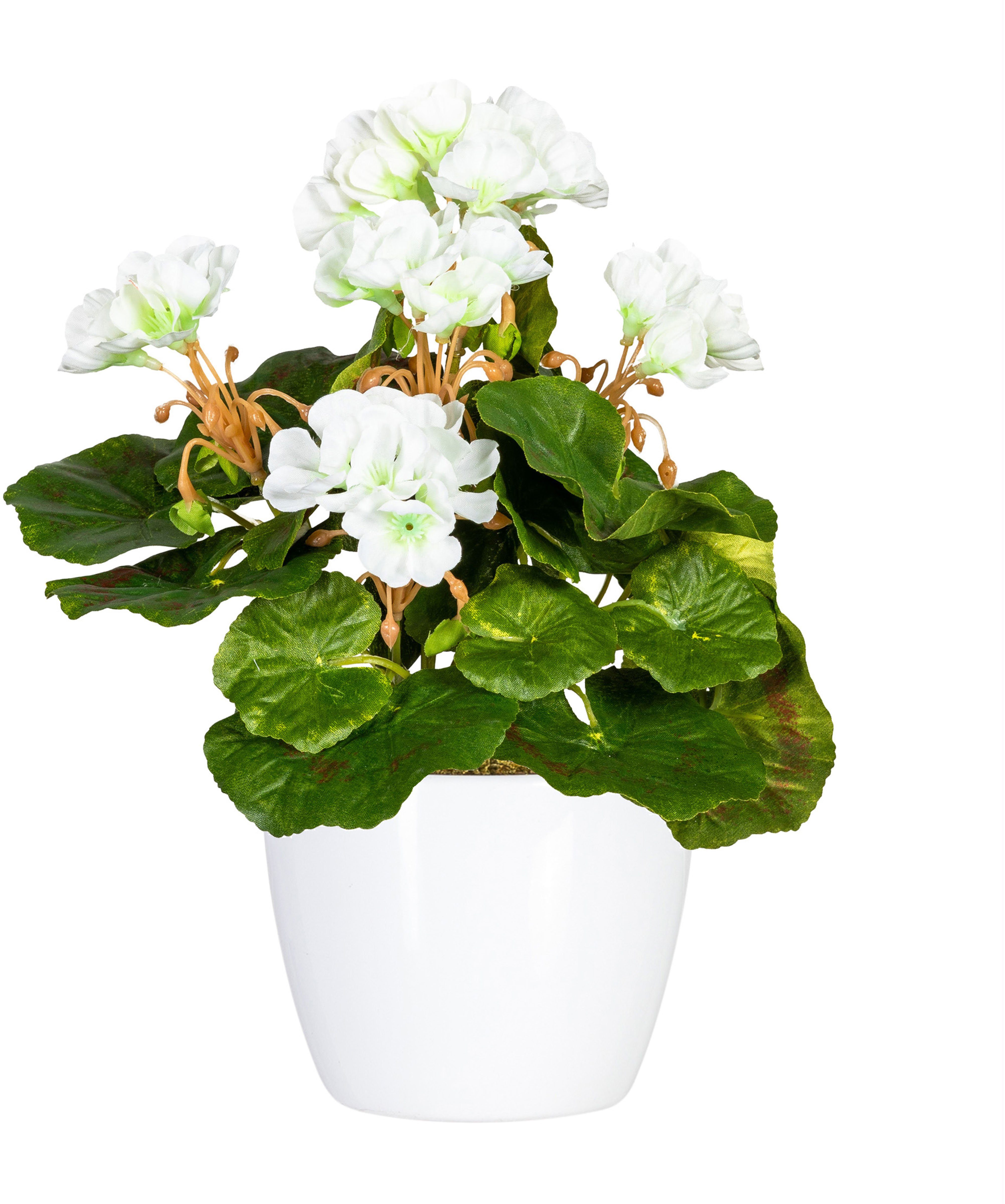 Kunstpflanze Havel Geranie, Home affaire, Höhe 24 cm, im Topf, 2er Set günstig online kaufen