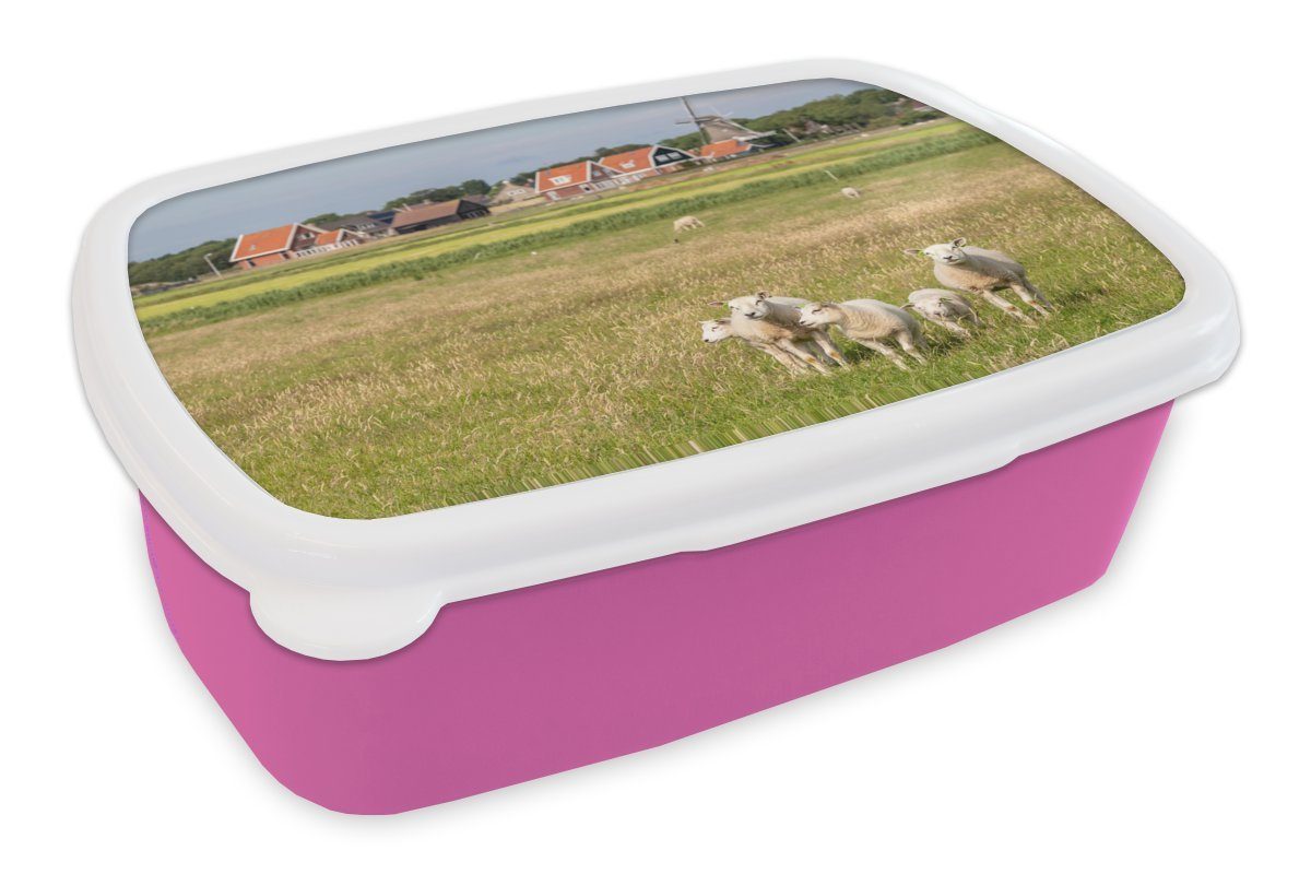 MuchoWow Lunchbox Schafe und eine Mühle auf Ameland, Kunststoff, (2-tlg), Brotbox für Erwachsene, Brotdose Kinder, Snackbox, Mädchen, Kunststoff rosa