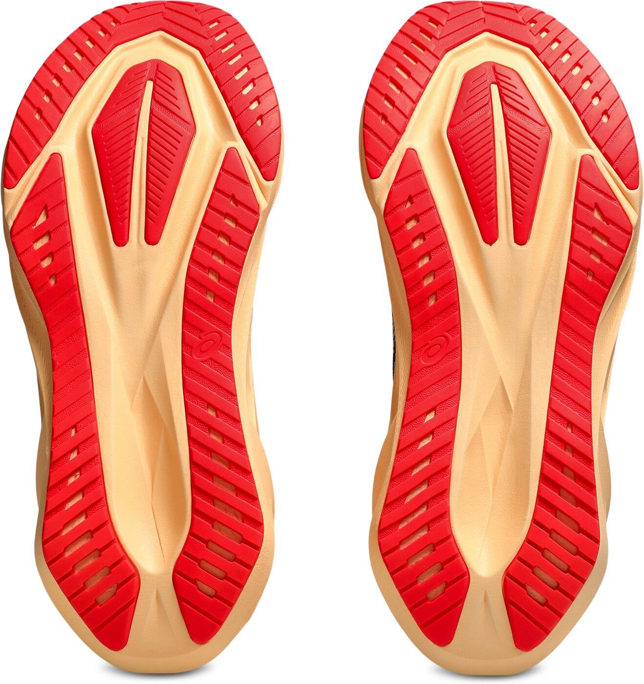 Asics NOVABLAST 5 MIDNIGHT/ORANGE GLOW Laufschuh günstig online kaufen