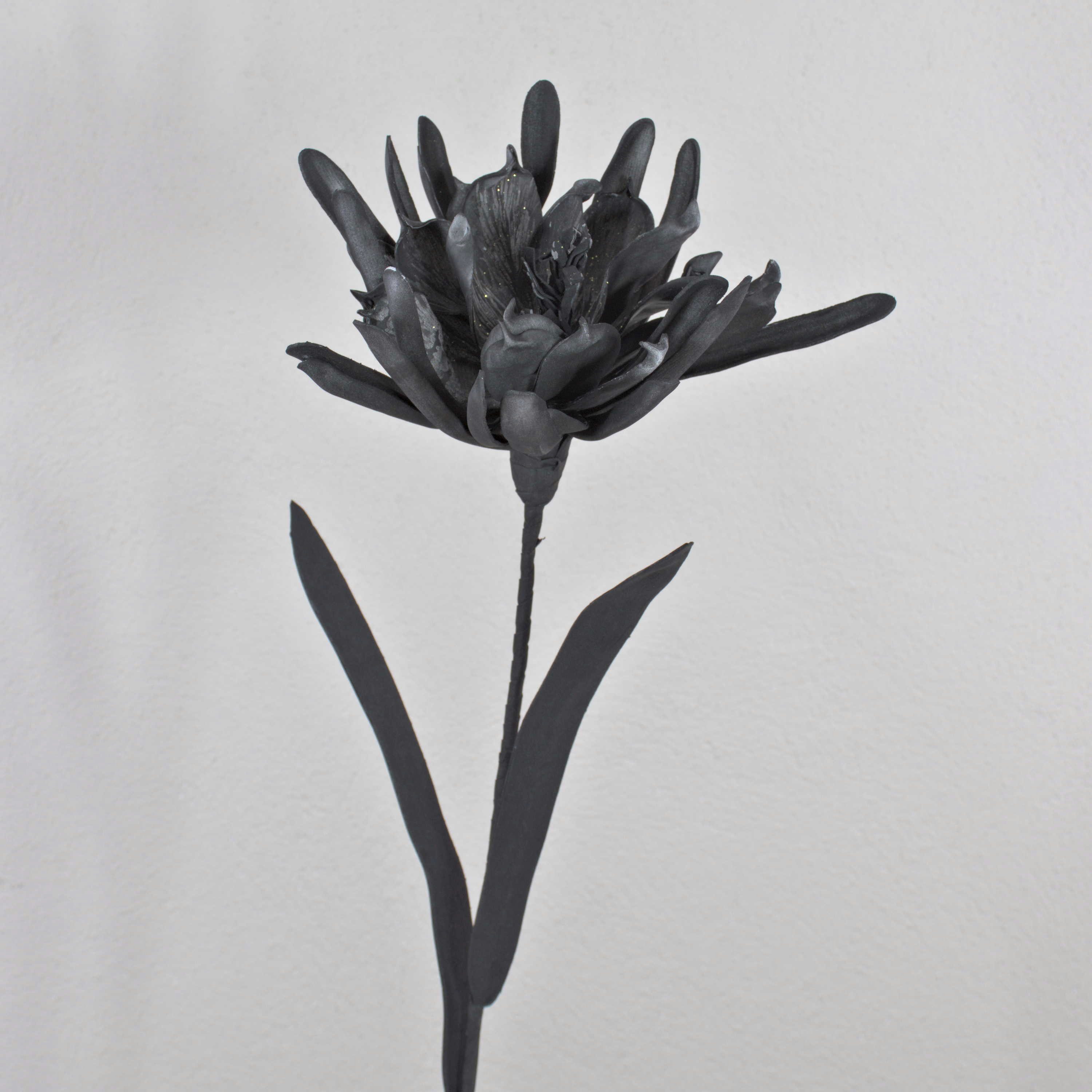 Kunstblume Deko Blüte Kaktus Königin der Nacht MOADI mit Glitzer, schwarz, 90cm Königin der Nacht Kaktus, artplants, Höhe 90.0 cm