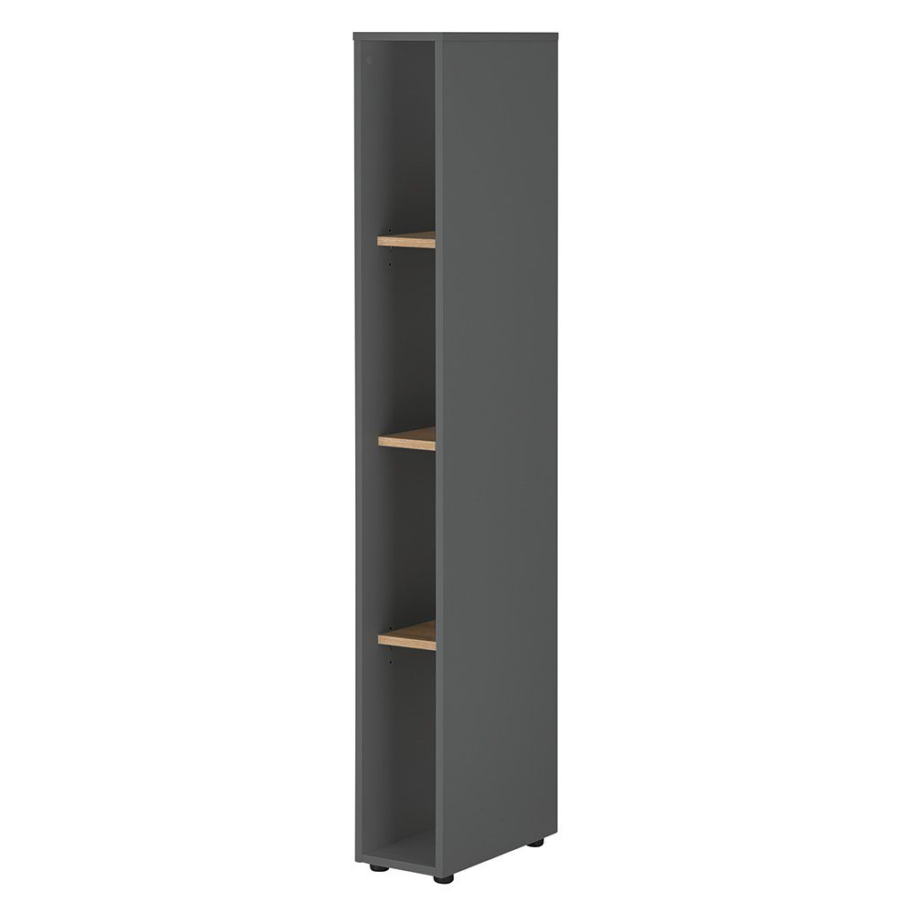 Lomadox Regal CRISP-61, in anthrazit mit günstig online kaufen