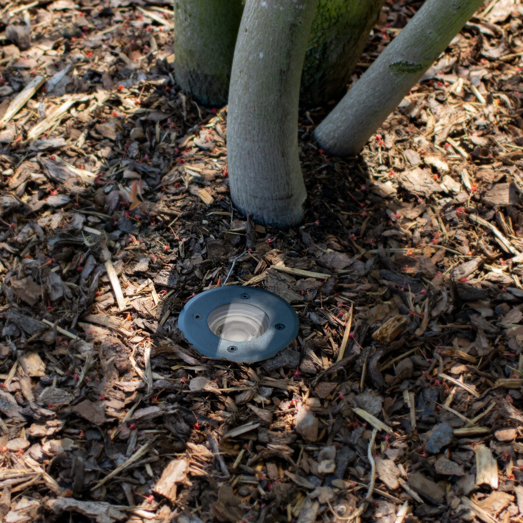 linovum LED Gartenstrahler BORU Bodeneinbaustrahler IP67 mit LED GU10 Lampe günstig online kaufen