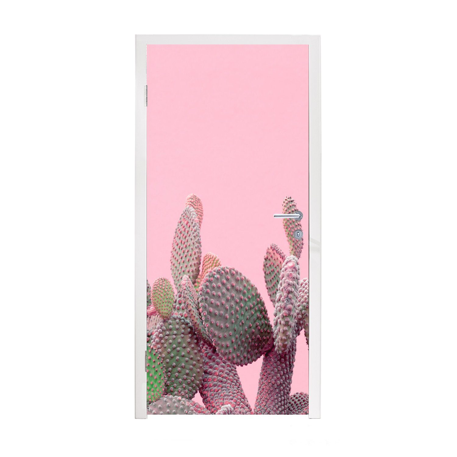 MuchoWow Türtapete Kaktus - Pflanzen - Sommer, Matt, bedruckt, (1 St), Fototapete für Tür, Türaufkleber, 75x205 cm