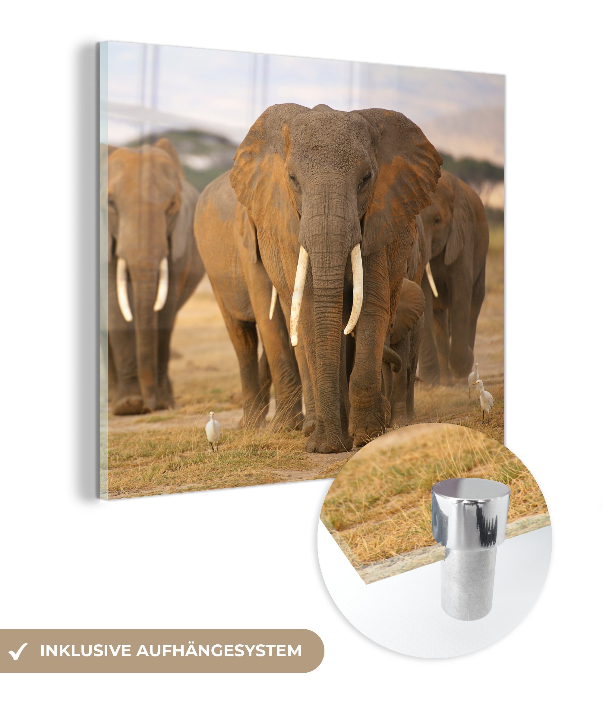 MuchoWow Acrylglasbild Familie der Elefanten, (1 St), Glasbilder - Bilder auf Glas Wandbild - Foto auf Glas - Wanddekoration bunt