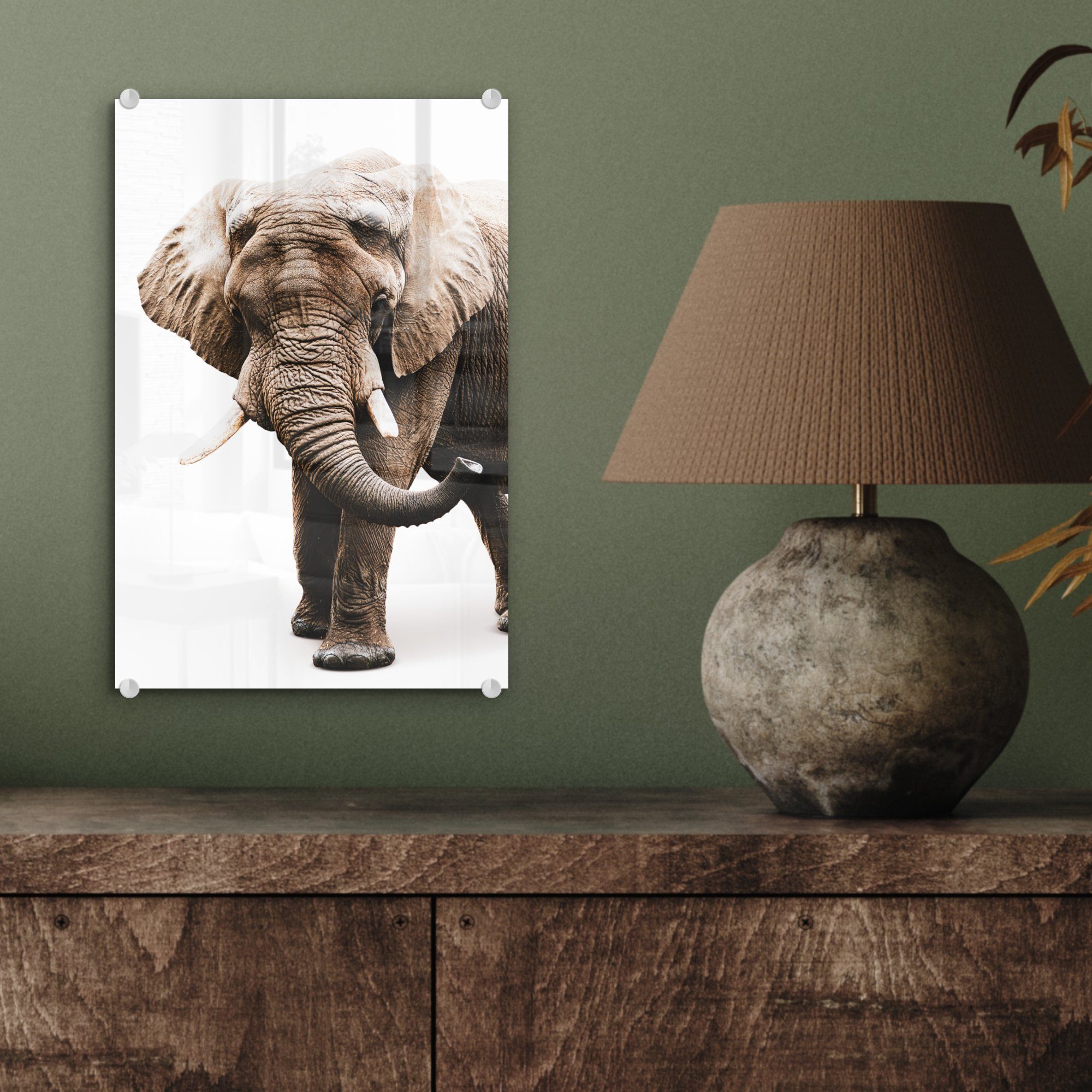 MuchoWow Acrylglasbild Elefant - Weiß auf Tiere, auf Glas (1 - St), Glas bunt - Wandbild Glasbilder Foto - Wanddekoration Bilder 