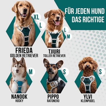 Dog & Dress Hunde-Geschirr + Leine Set "Rocket", atmungsaktiv, reflektierend, verstellbar, Nylon, für mittlere und große Hunde