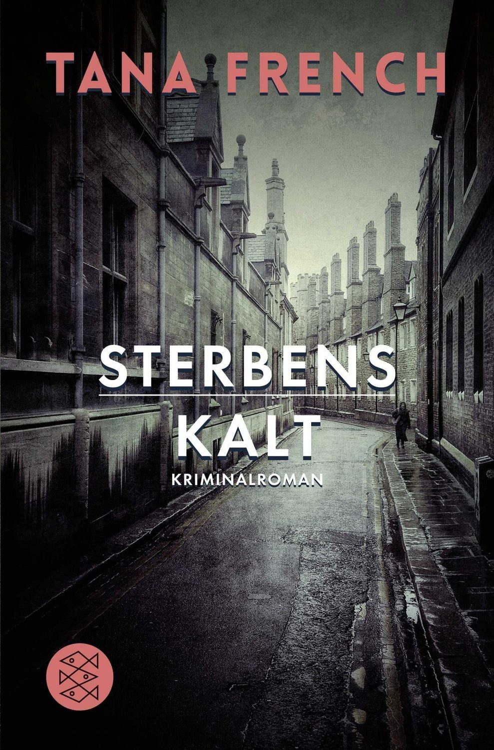 Sterbenskalt / Tana French