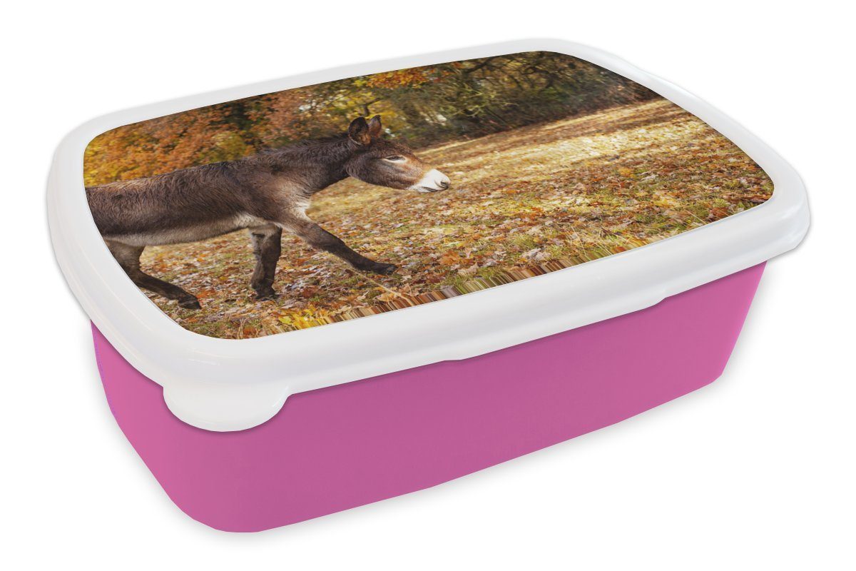 MuchoWow Lunchbox Esel läuft durch Herbstballen, Kunststoff, (2-tlg), Brotbox für Erwachsene, Brotdose Kinder, Snackbox, Mädchen, Kunststoff rosa