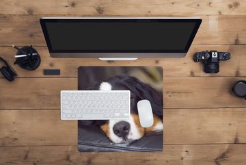 MuchoWow Gaming Mauspad Ein Berner Sennenhund liegt auf dem Sofa (1-St), Mousepad mit Rutschfester Unterseite, Gaming, 40x40 cm, XXL, Großes