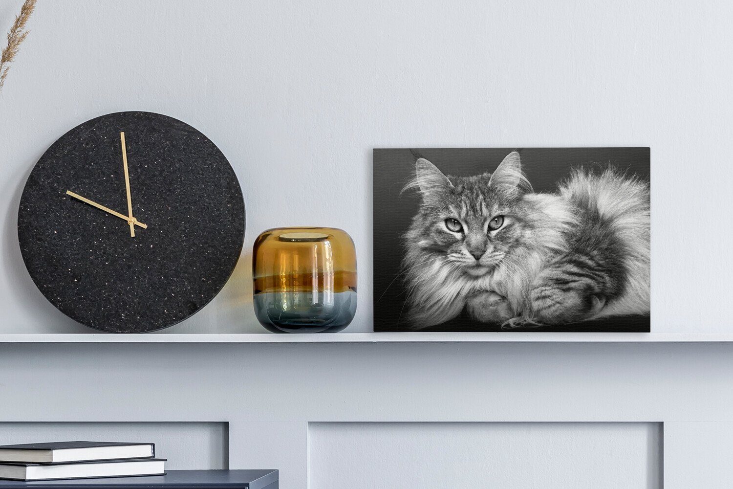 liegende Wanddeko, Eine 30x20 schöne Leinwandbild Maine Leinwandbilder, weiß, und schwarz Katze - Coon Aufhängefertig, cm (1 Wandbild St), OneMillionCanvasses®