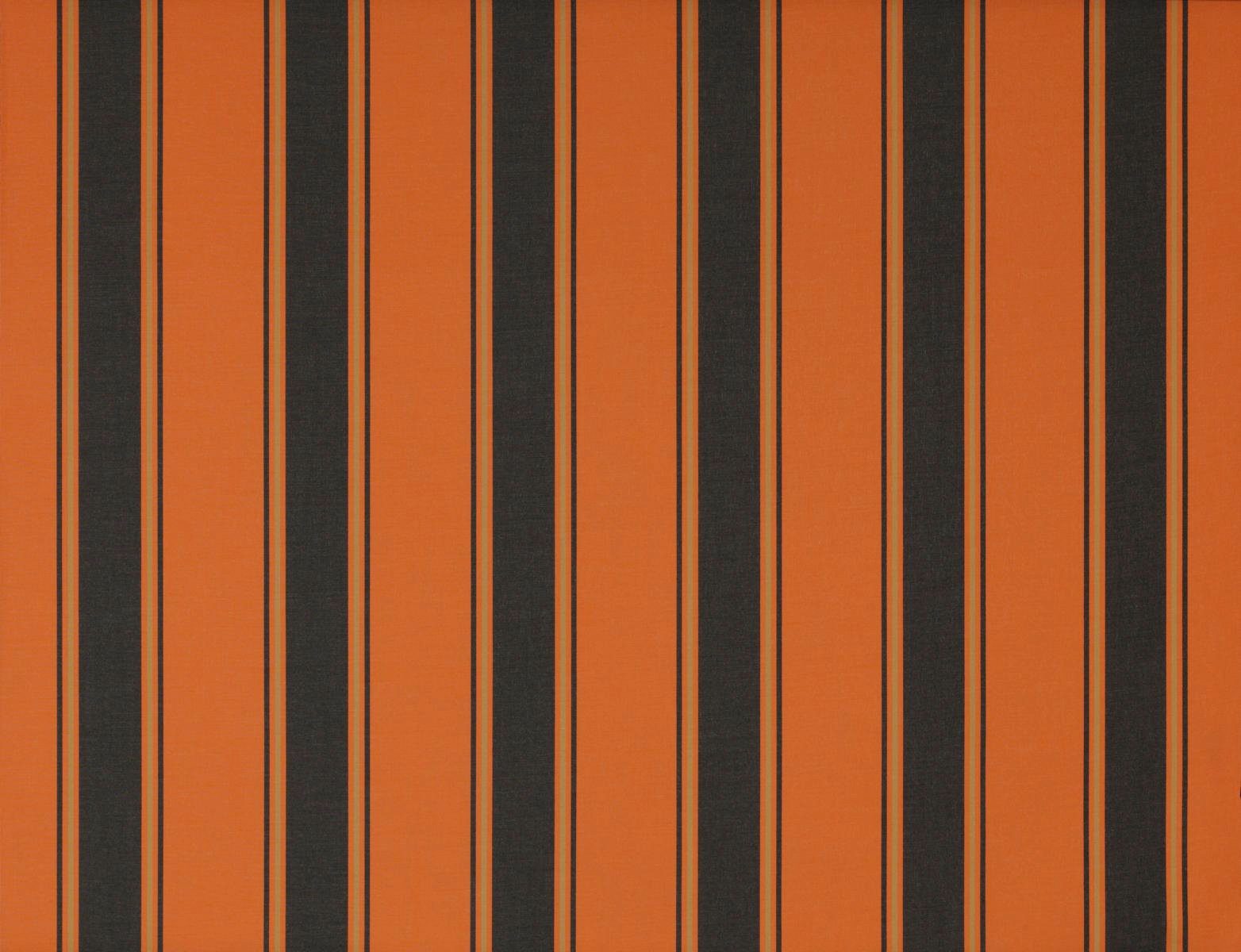 Wismar Kassettenmarkise Classic S-Compact Breite: 350 cm, Ausfall: 250 cm